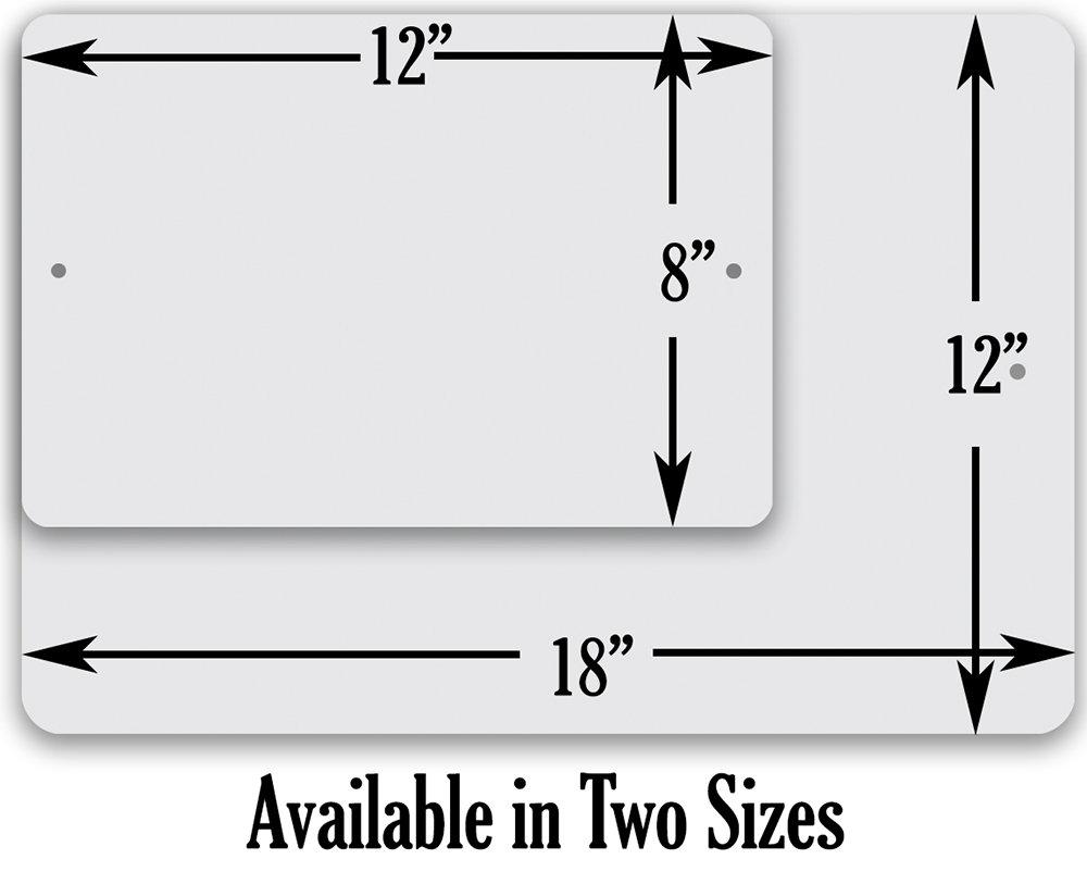 Expert Only Double Black Ski Slope - Metal Sign