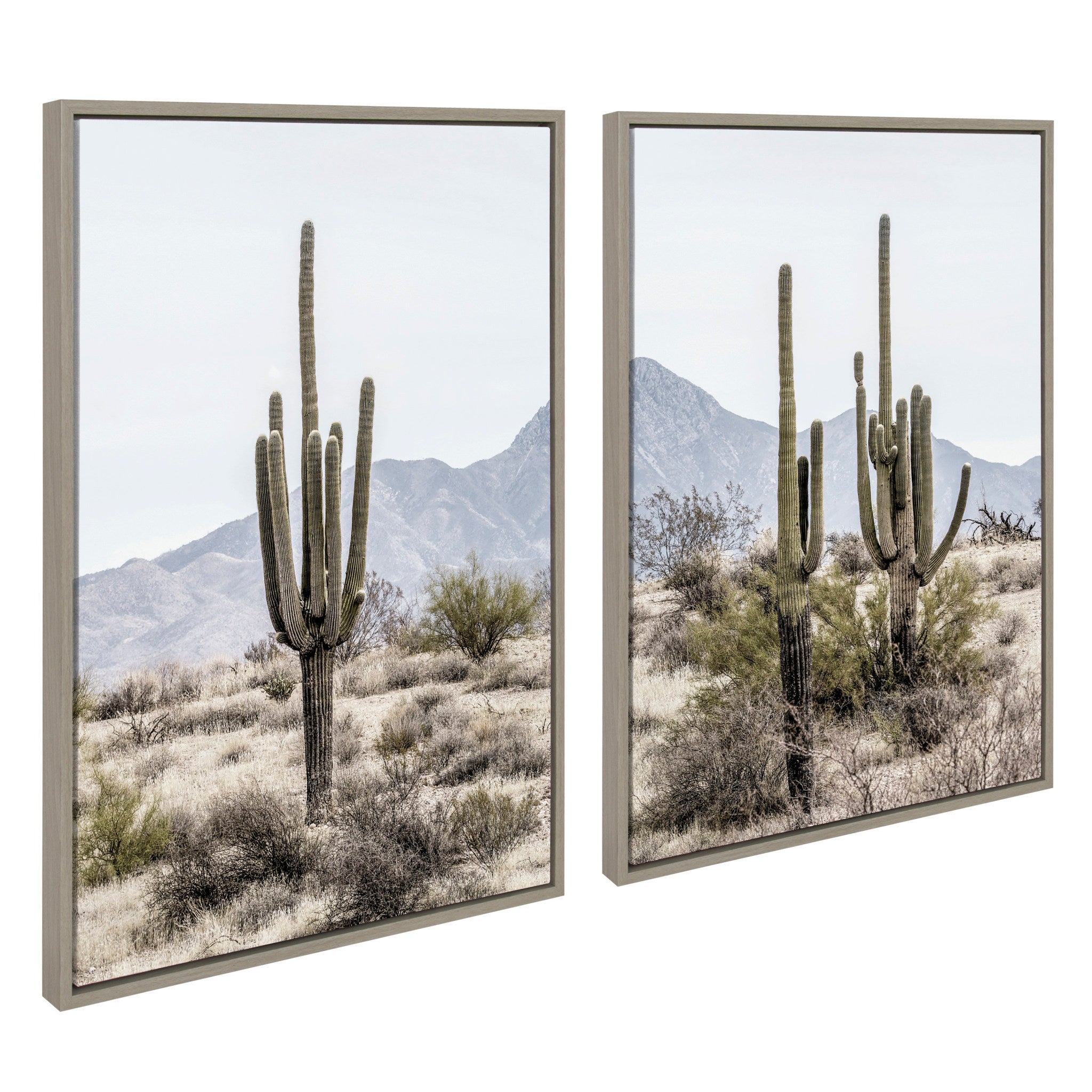 Sylvie Tall Saguaro Cacti Desert Mountain 1 and 2 Framed Canvas by The Creative Bunch Studio