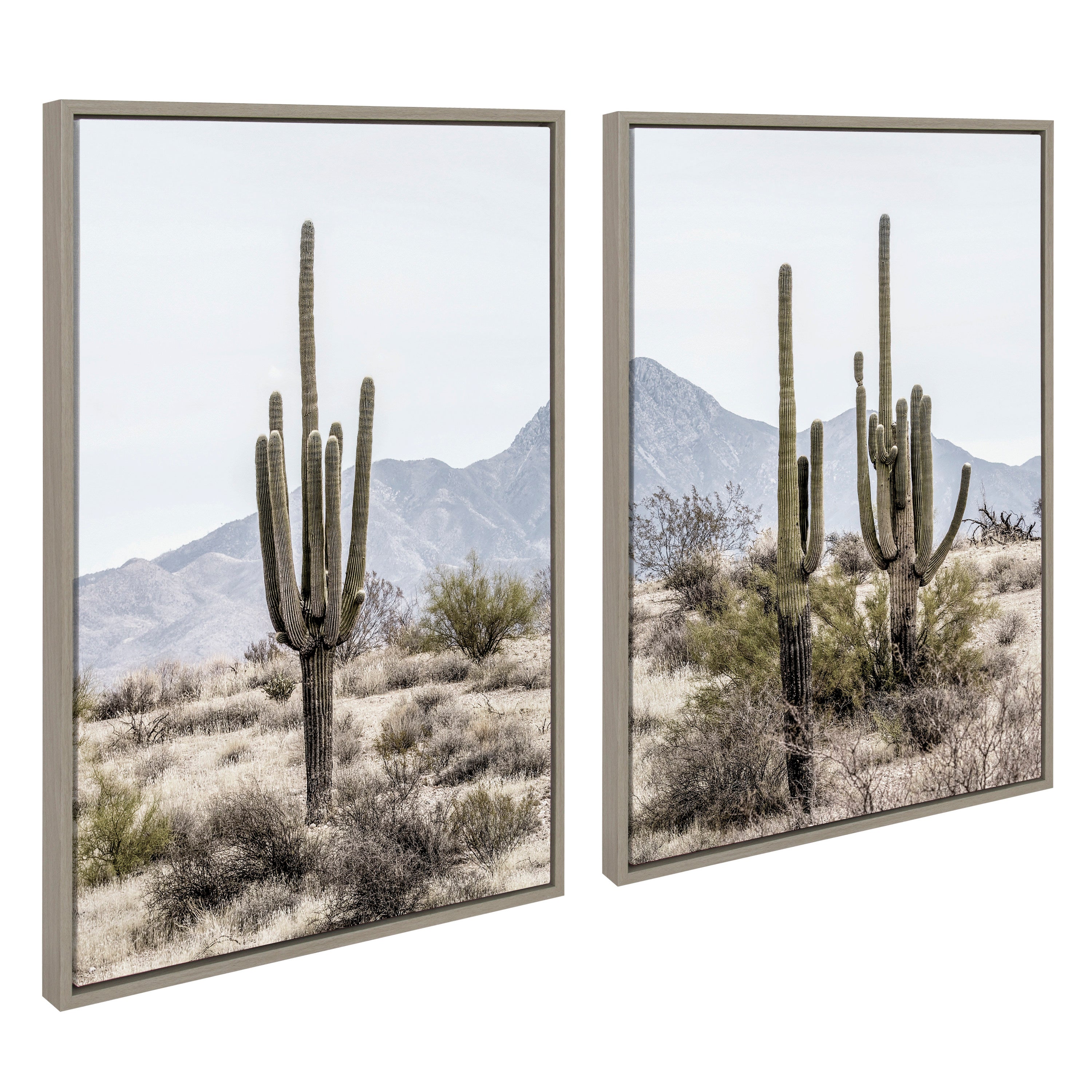 Sylvie Tall Saguaro Cacti Desert Mountain 1 and 2 Framed Canvas by The Creative Bunch Studio
