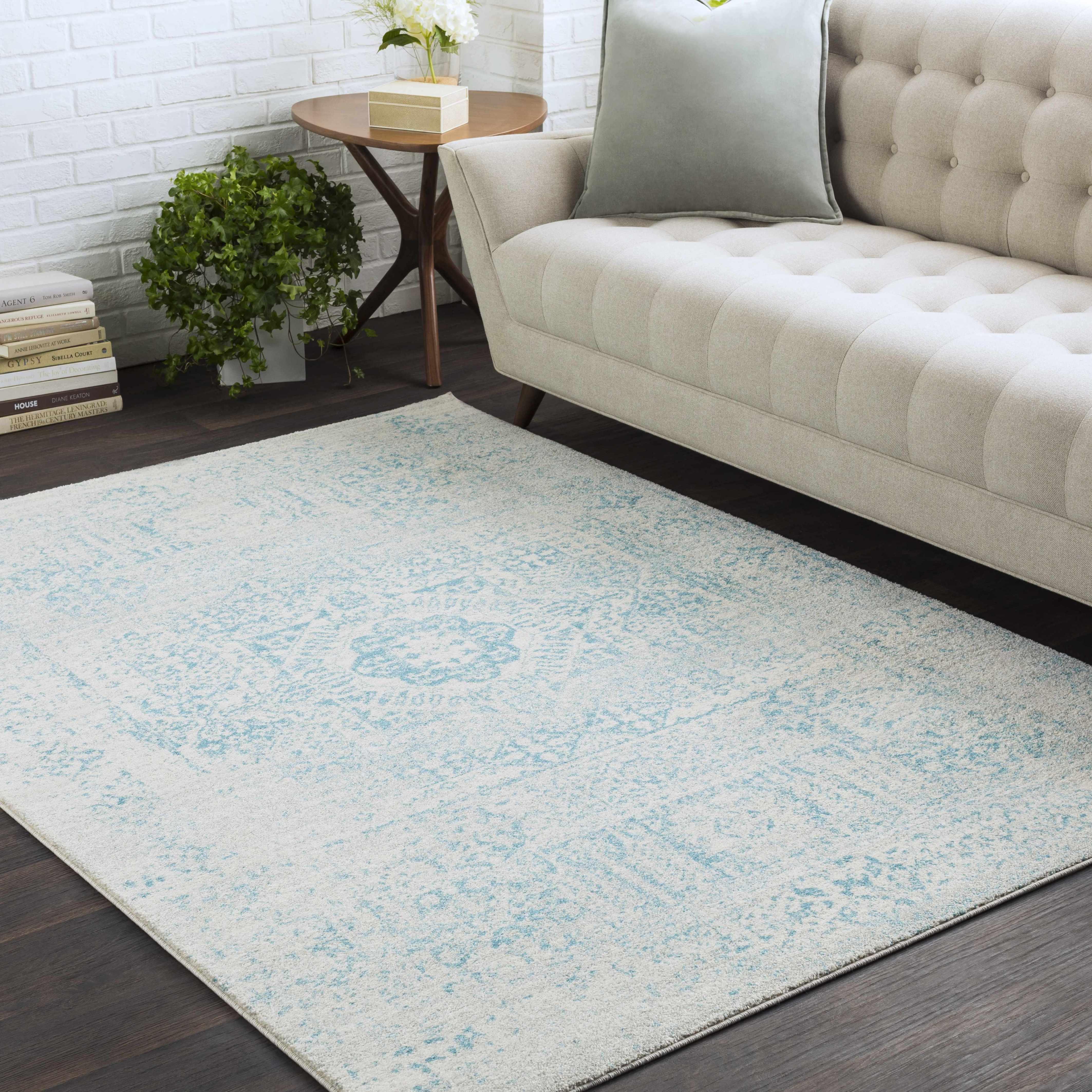 Omega Area Rug - Clearance - PRHOMZ
