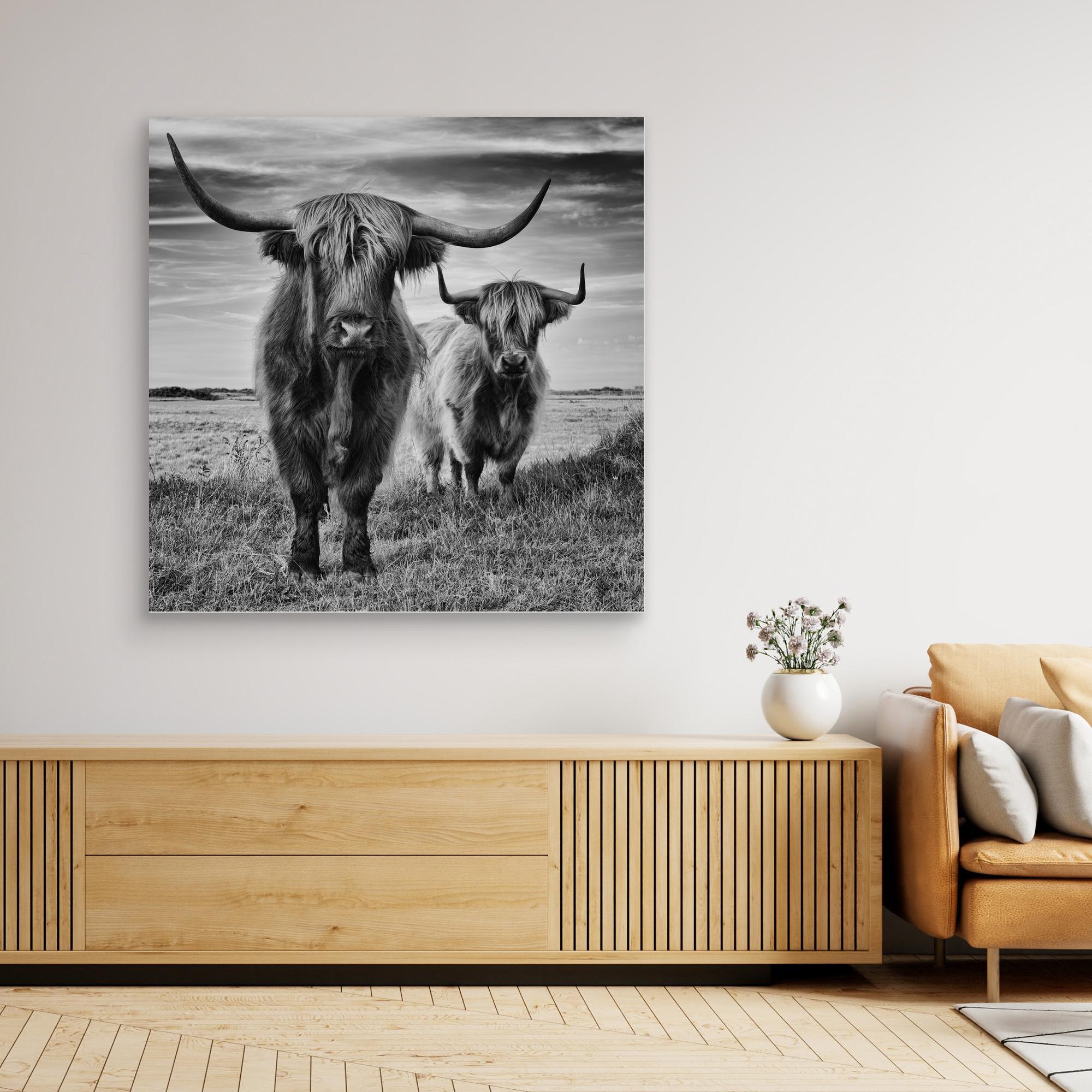 Highlands by Stéphane Pecqueux - PRHOMZ