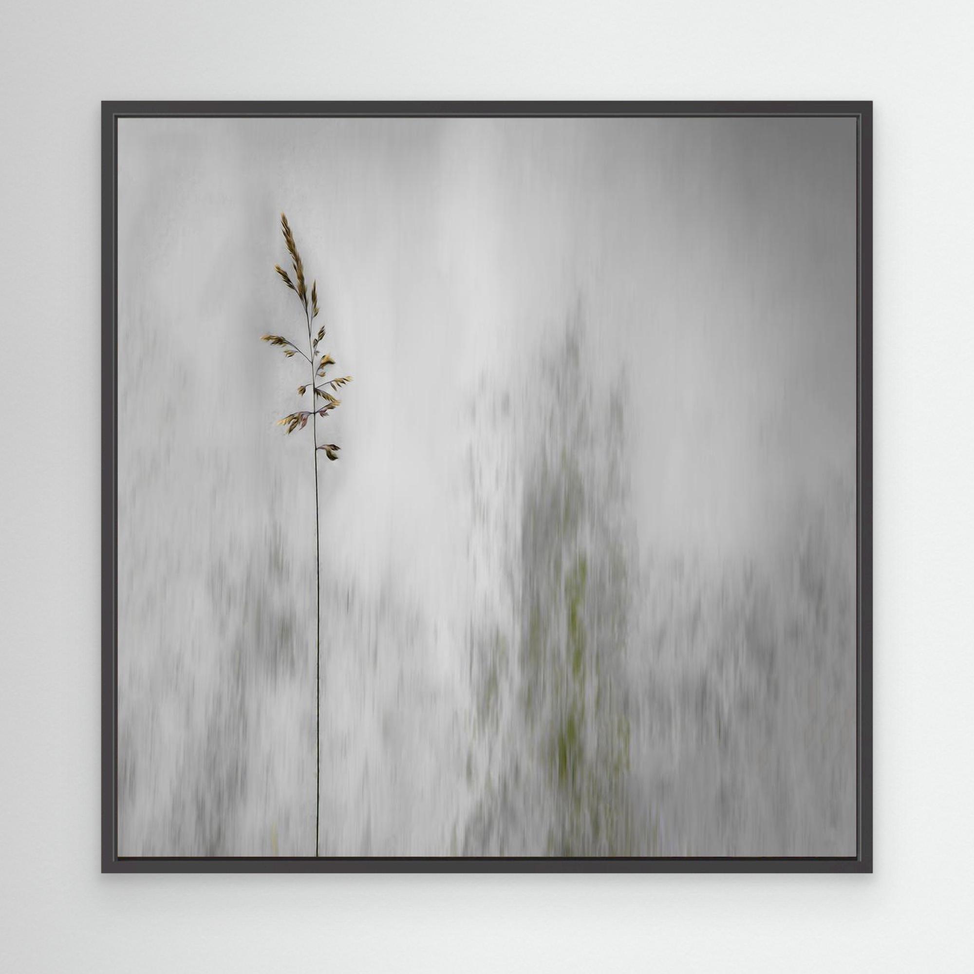 blade of grass by Gilbert Claes