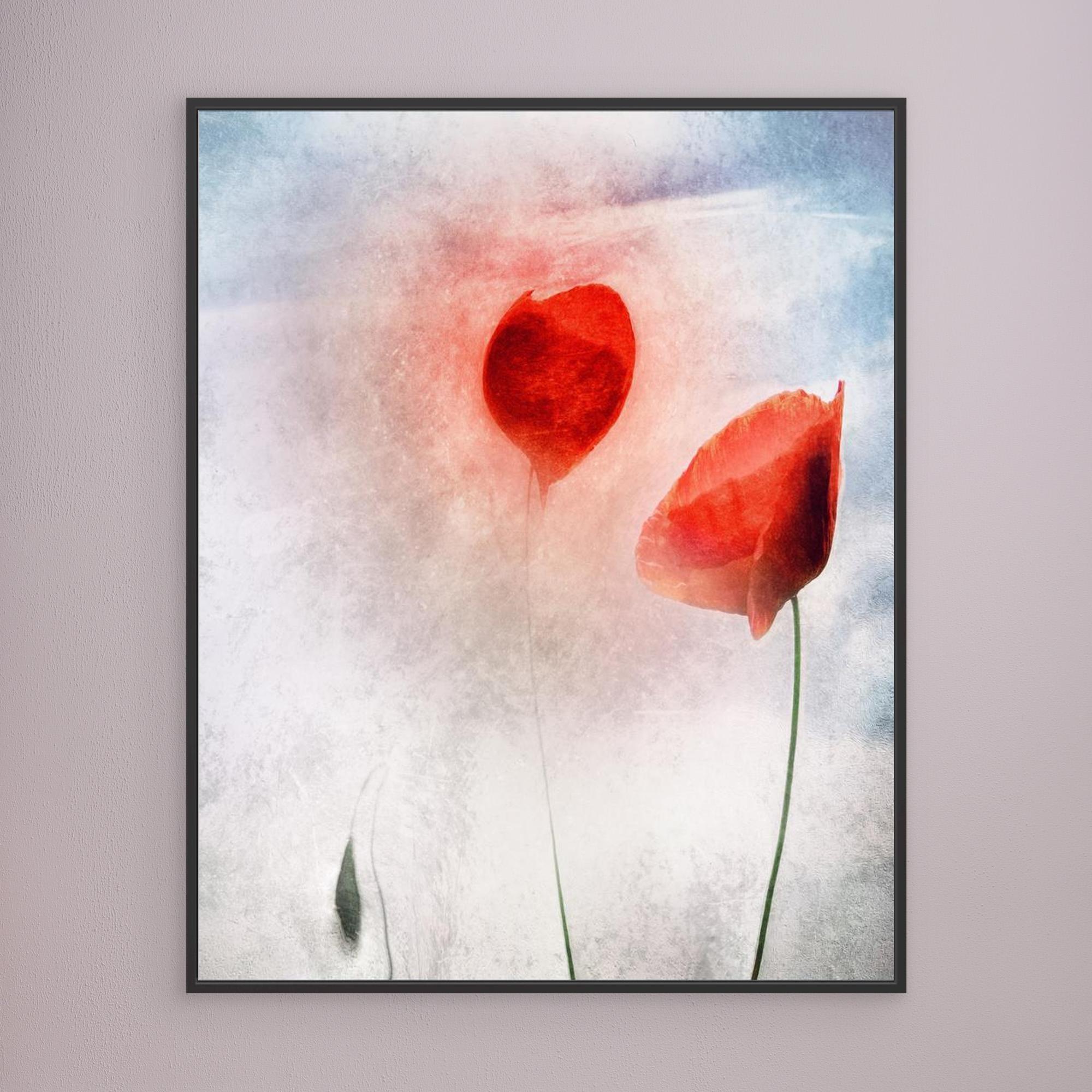 In Flanders Fields by Gilbert Claes