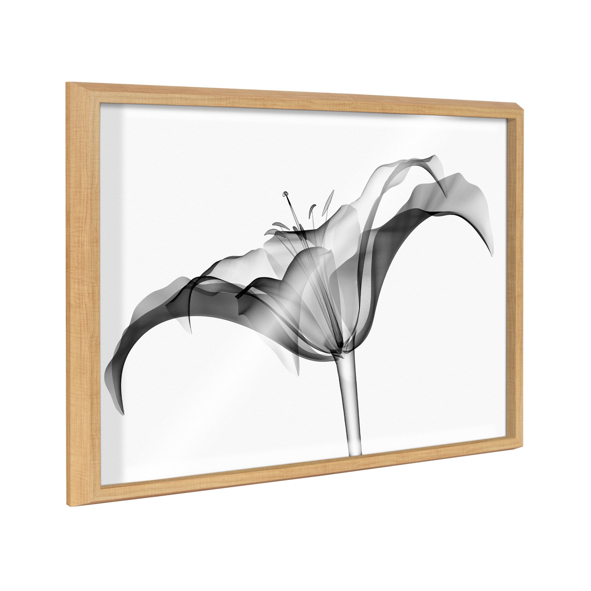 Blake Lily X Ray Floral BW Framed Printed Art by The Creative Bunch Studio