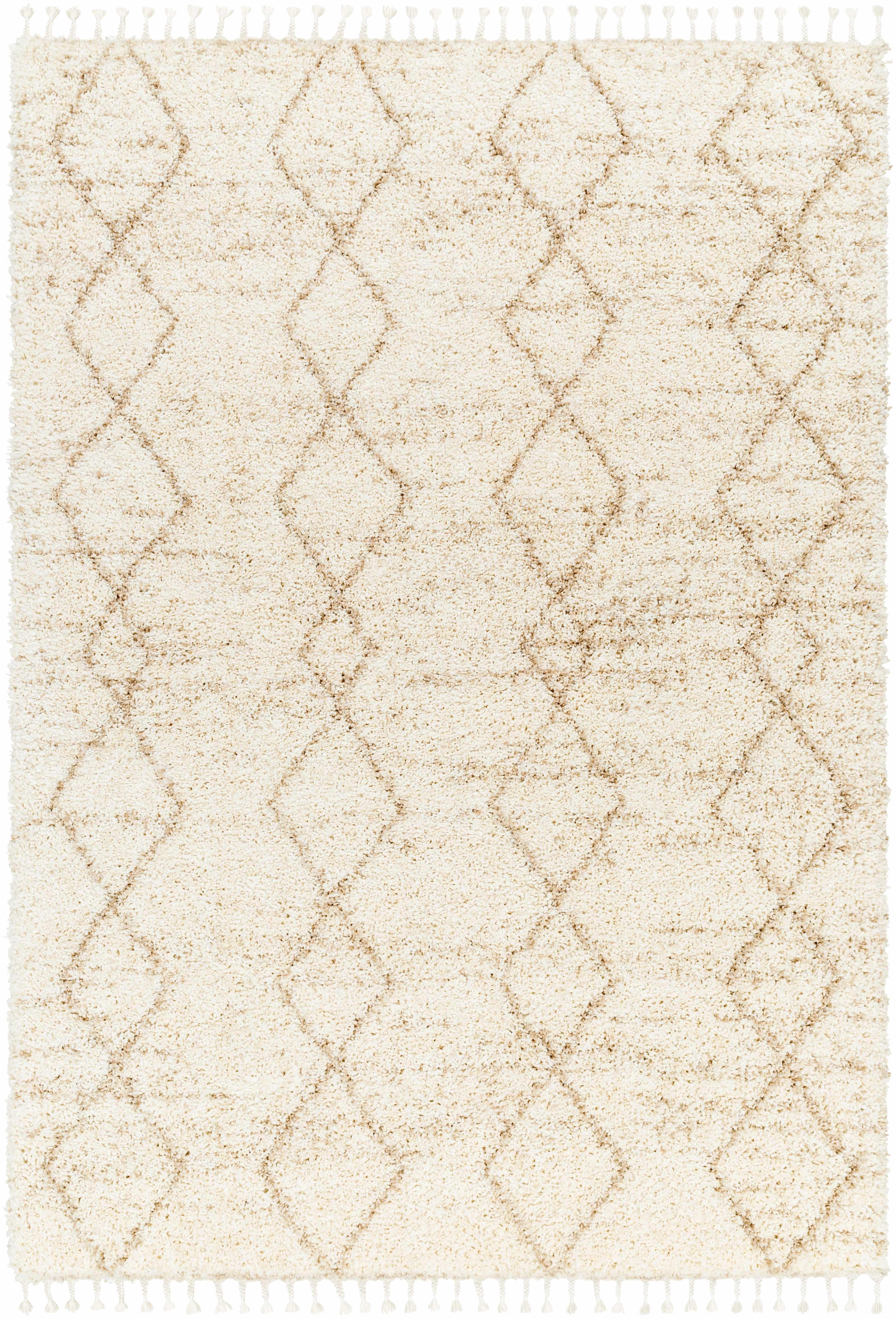 Ishan Cream Plush Rug with Tassels - PRHOMZ