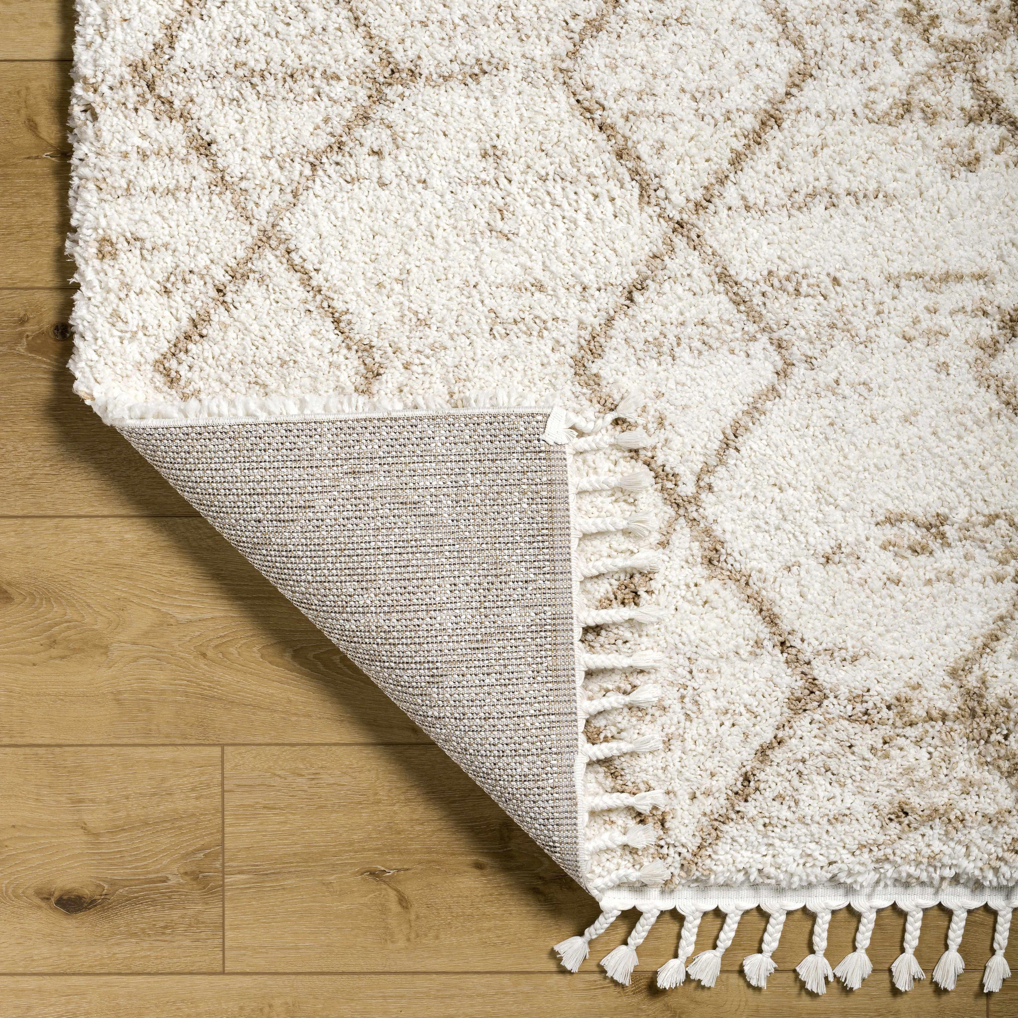 Ishan Cream Plush Rug with Tassels - PRHOMZ