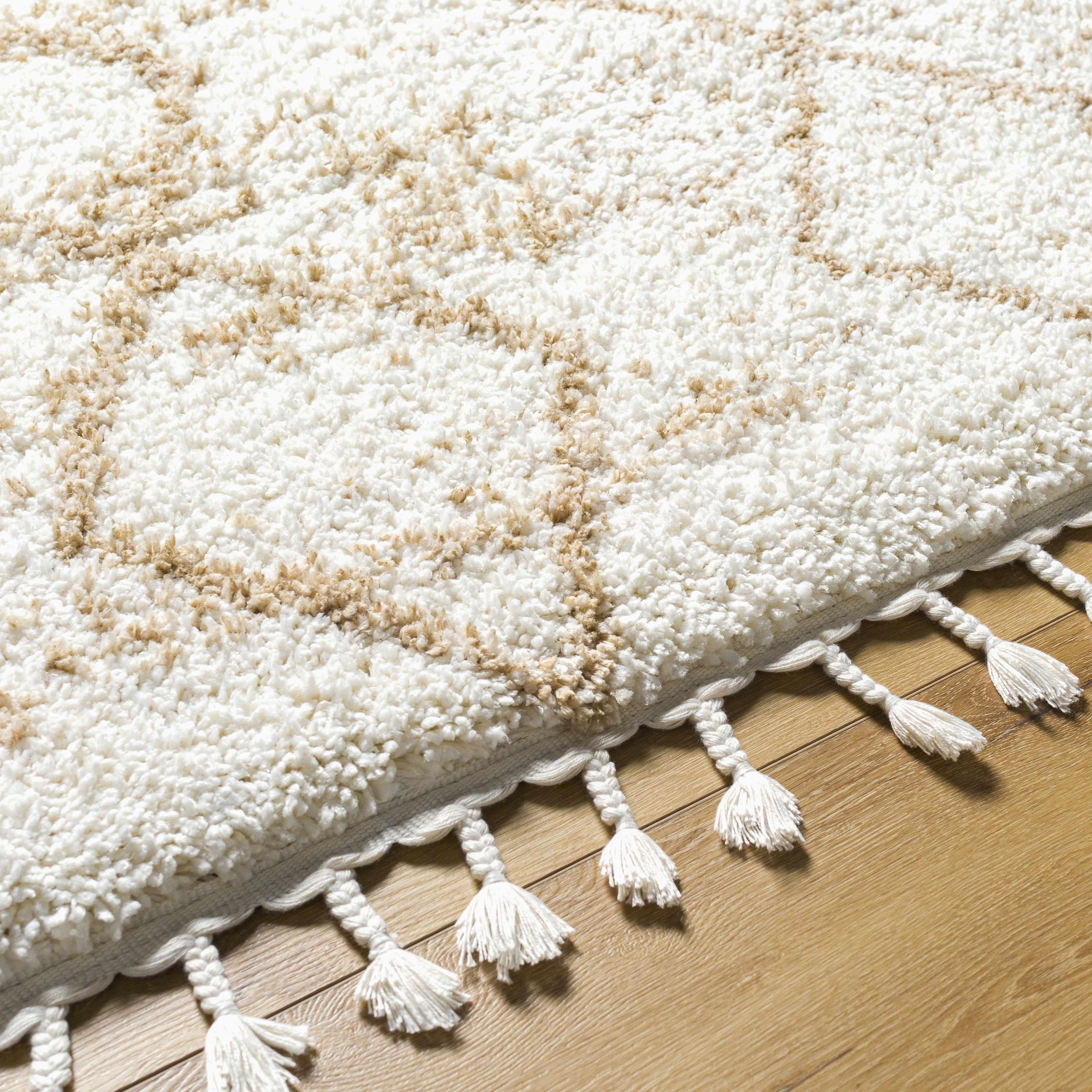 Ishan Cream Plush Rug with Tassels - PRHOMZ