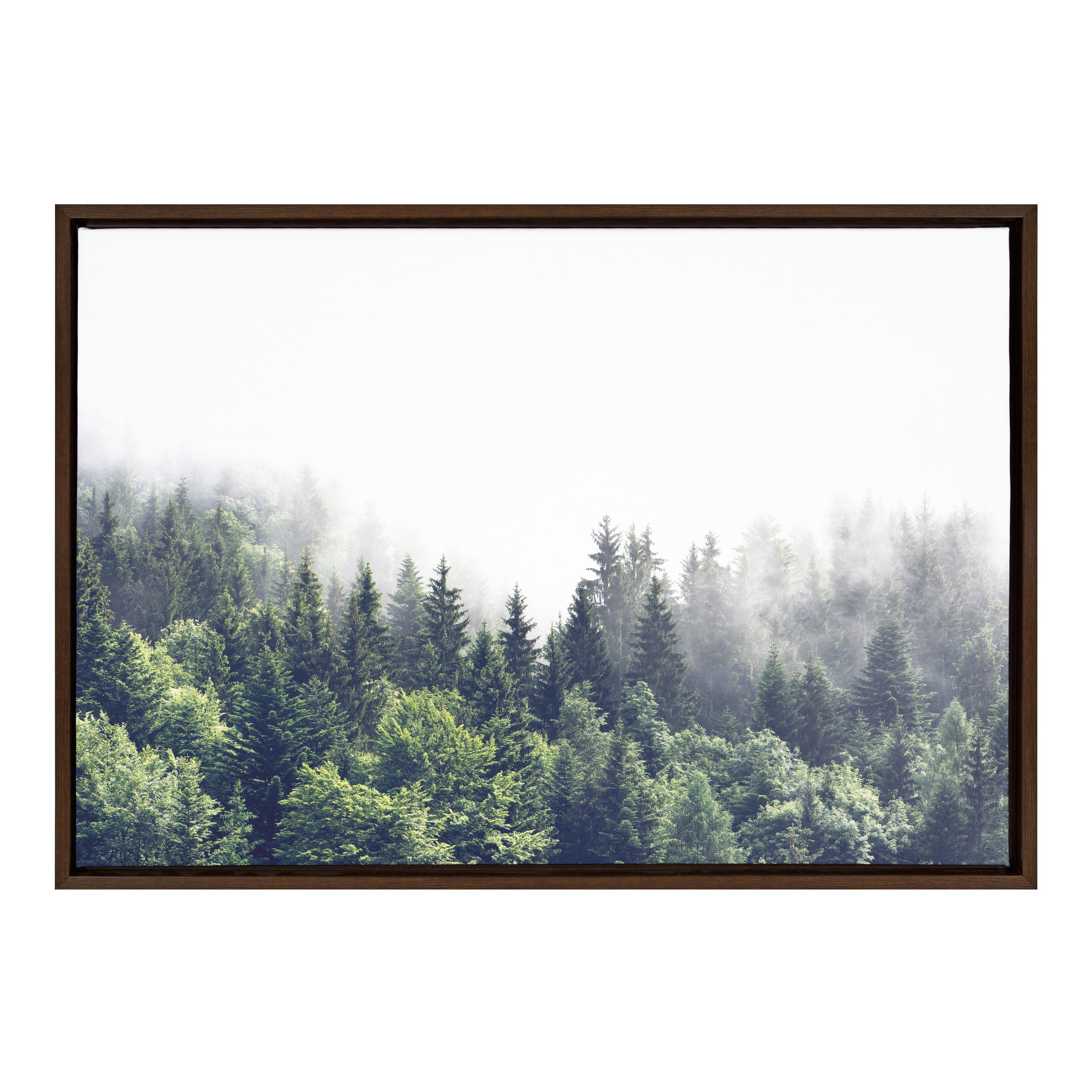 Sylvie Lush Green Forest On A Foggy Day Framed Canvas by The Creative Bunch Studio