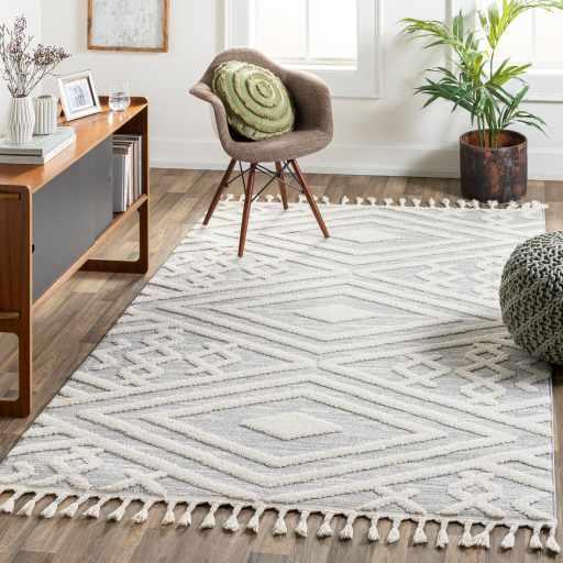 Tutay Area Rug - Clearance - PRHOMZ