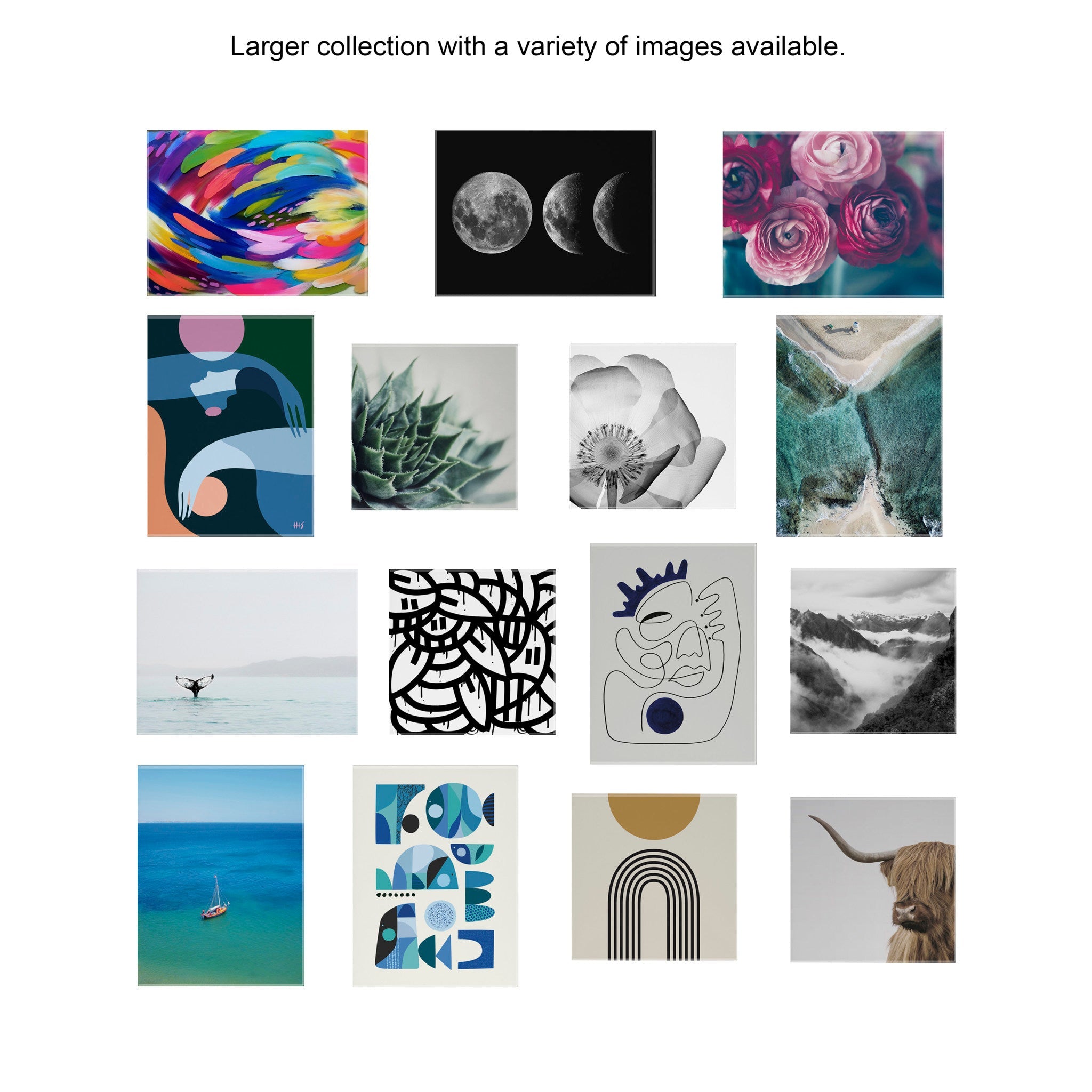 Poppy X Ray Floral Floating Acrylic Art by The Creative Bunch Studio