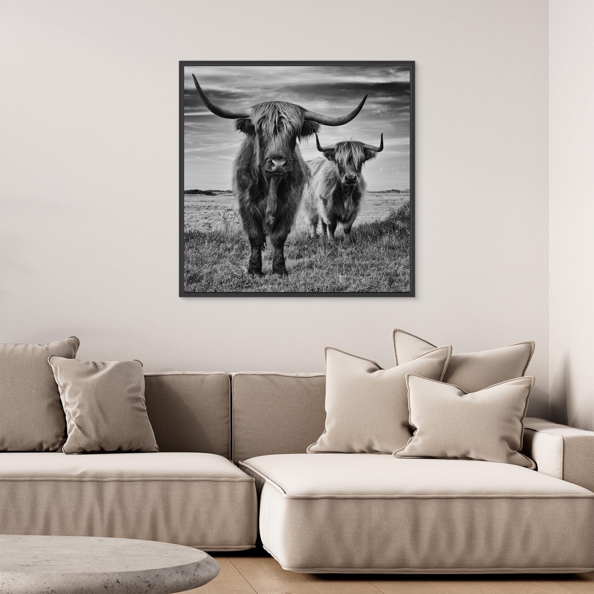 Highlands by Stéphane Pecqueux - PRHOMZ