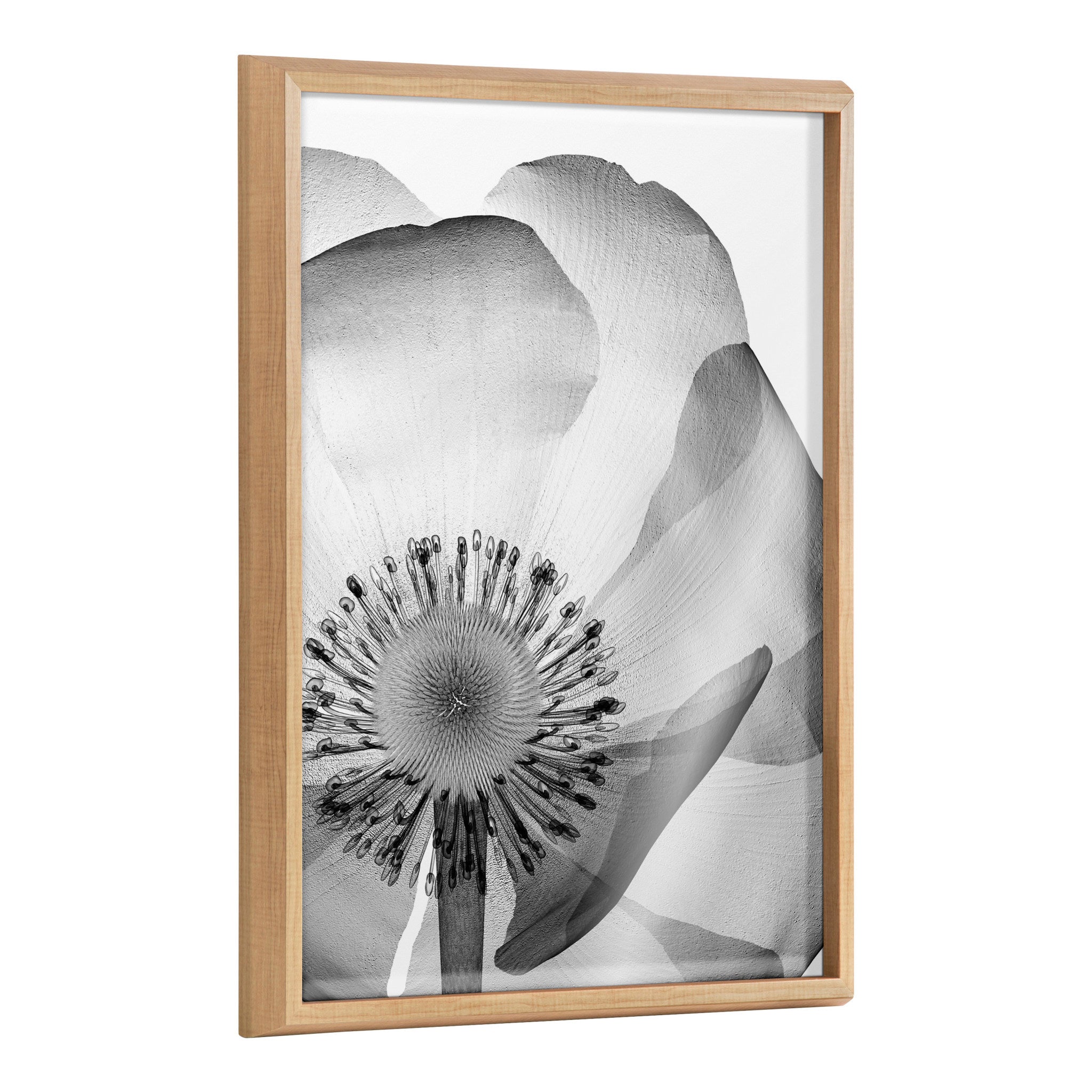 Blake Poppy X Ray Floral 2 BW Framed Printed Art by The Creative Bunch Studio