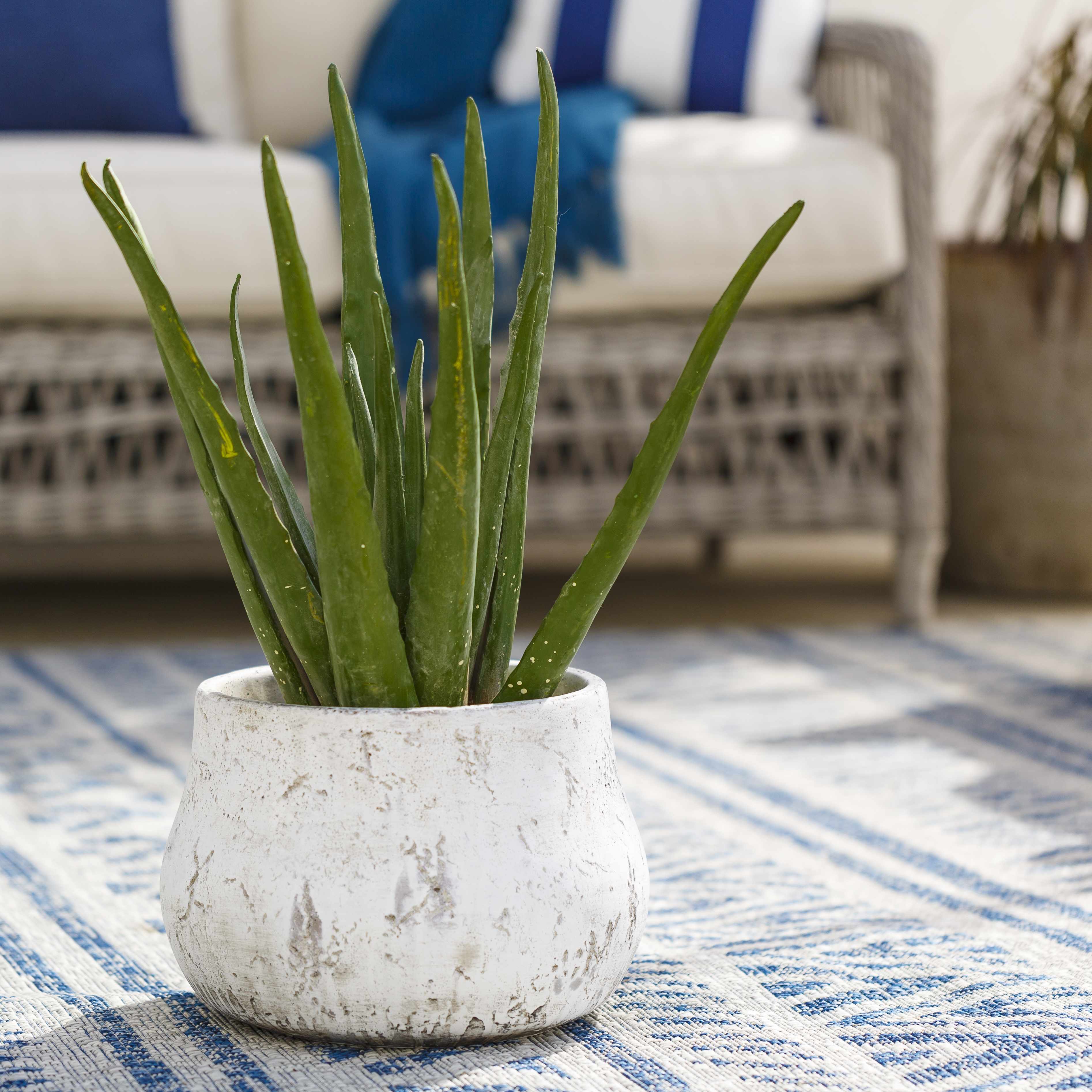 Orehovica 12" Cement Planter-0