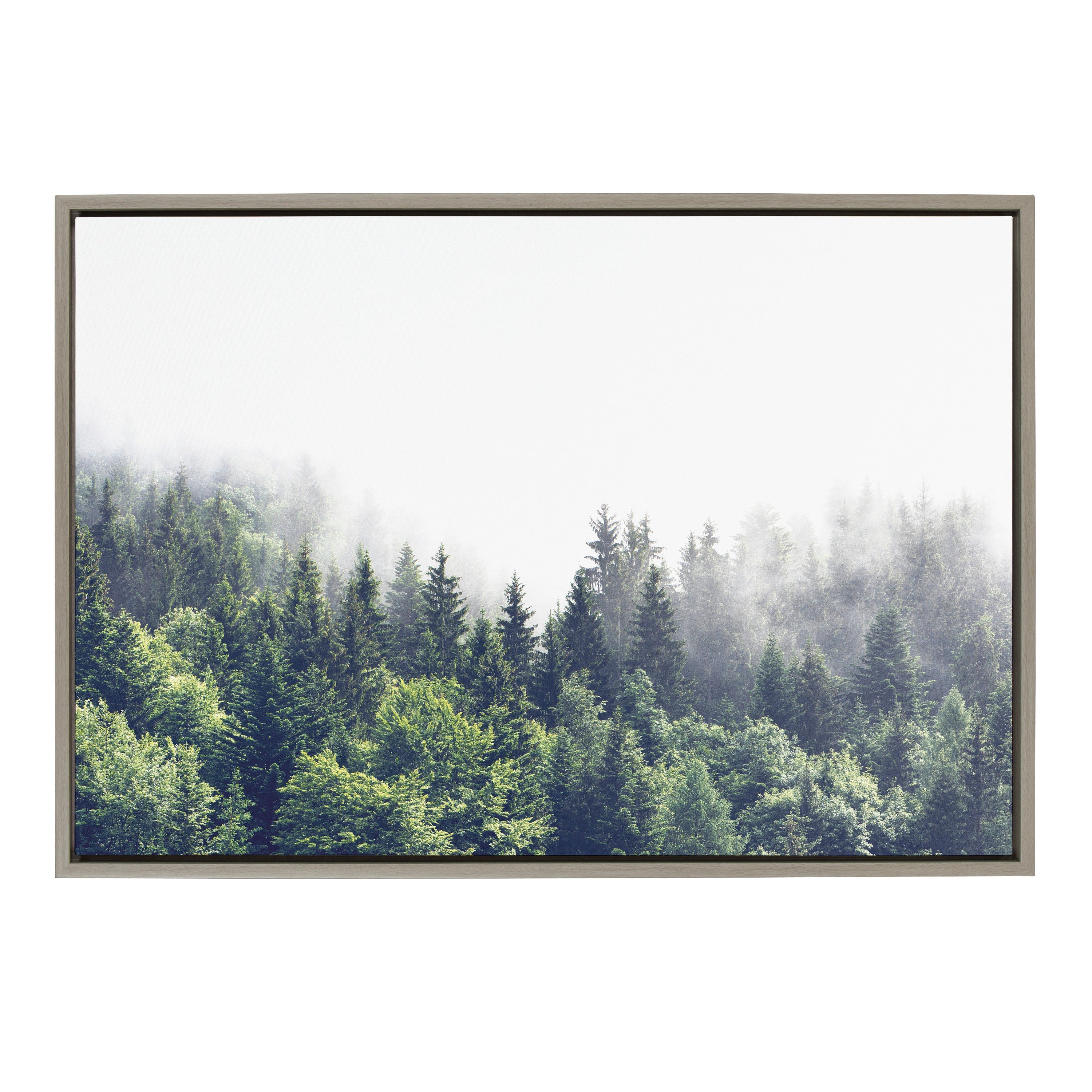 Sylvie Lush Green Forest On A Foggy Day Framed Canvas by The Creative Bunch Studio