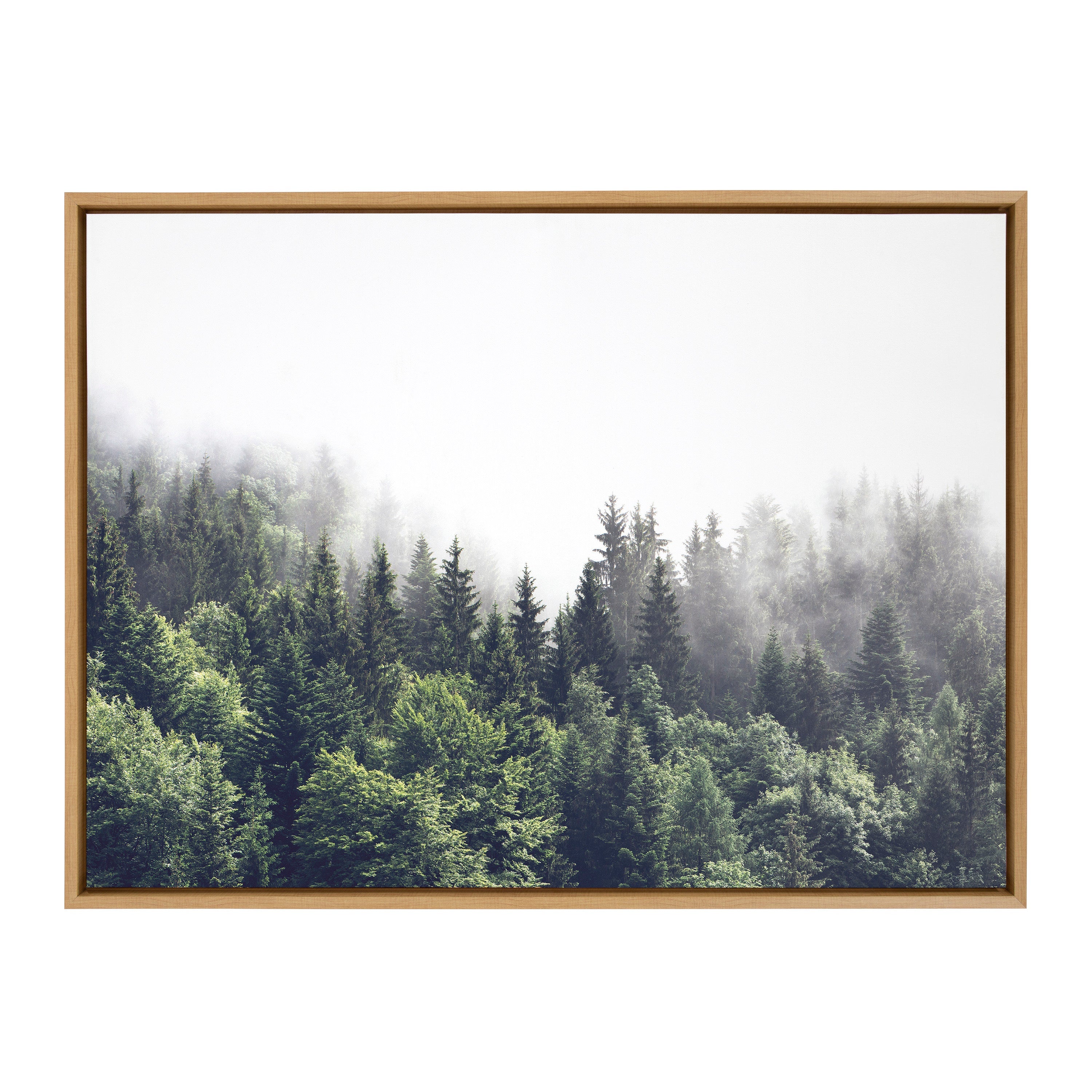 Sylvie Lush Green Forest On A Foggy Day Framed Canvas by The Creative Bunch Studio