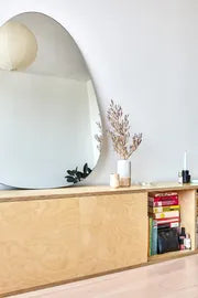Egg Irregular Mirror Aesthetic Wall Mirror