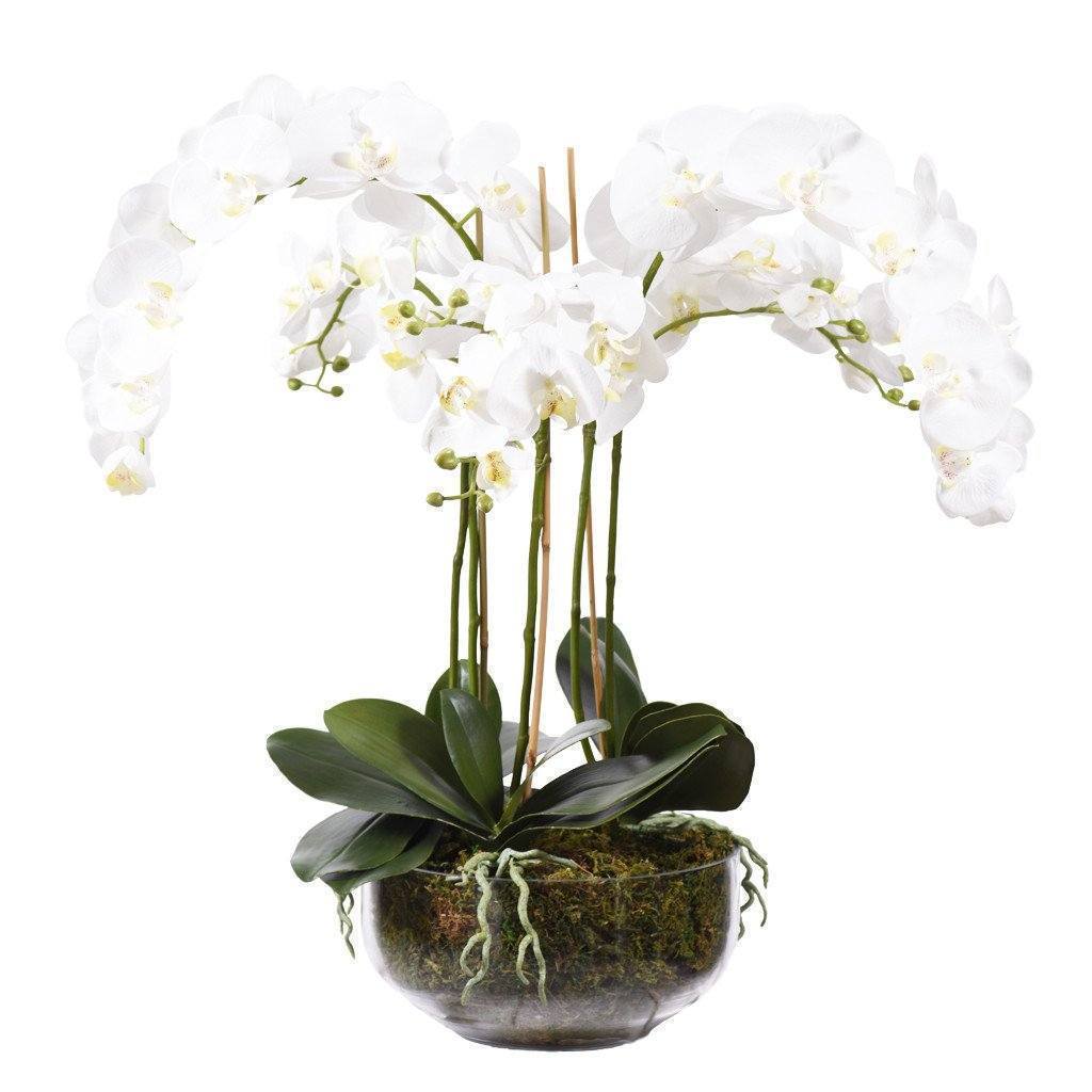 White Silk Orchid Arrangement in Glass Vase-0