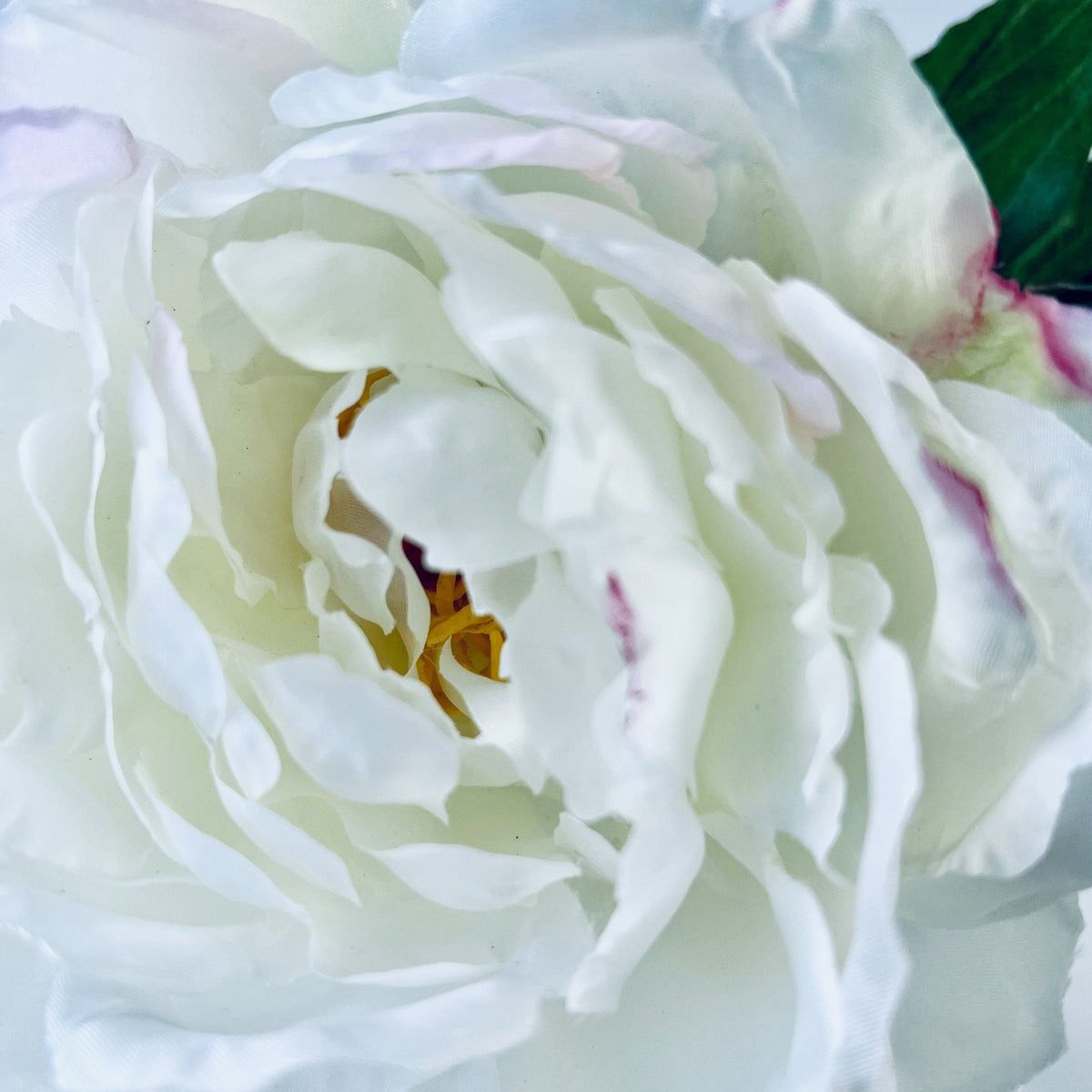 Real Touch Peony Arrangement in Glass Vase - 8"