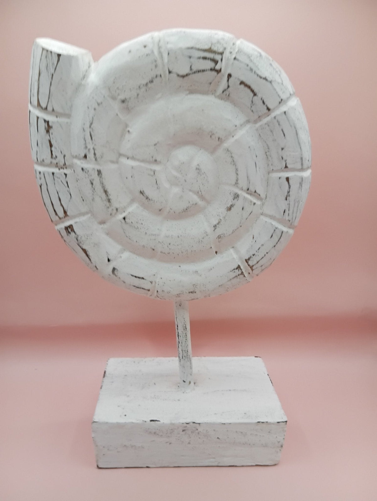 Wooden Ammonite Sculpture | Coastal Home Decor Fossils