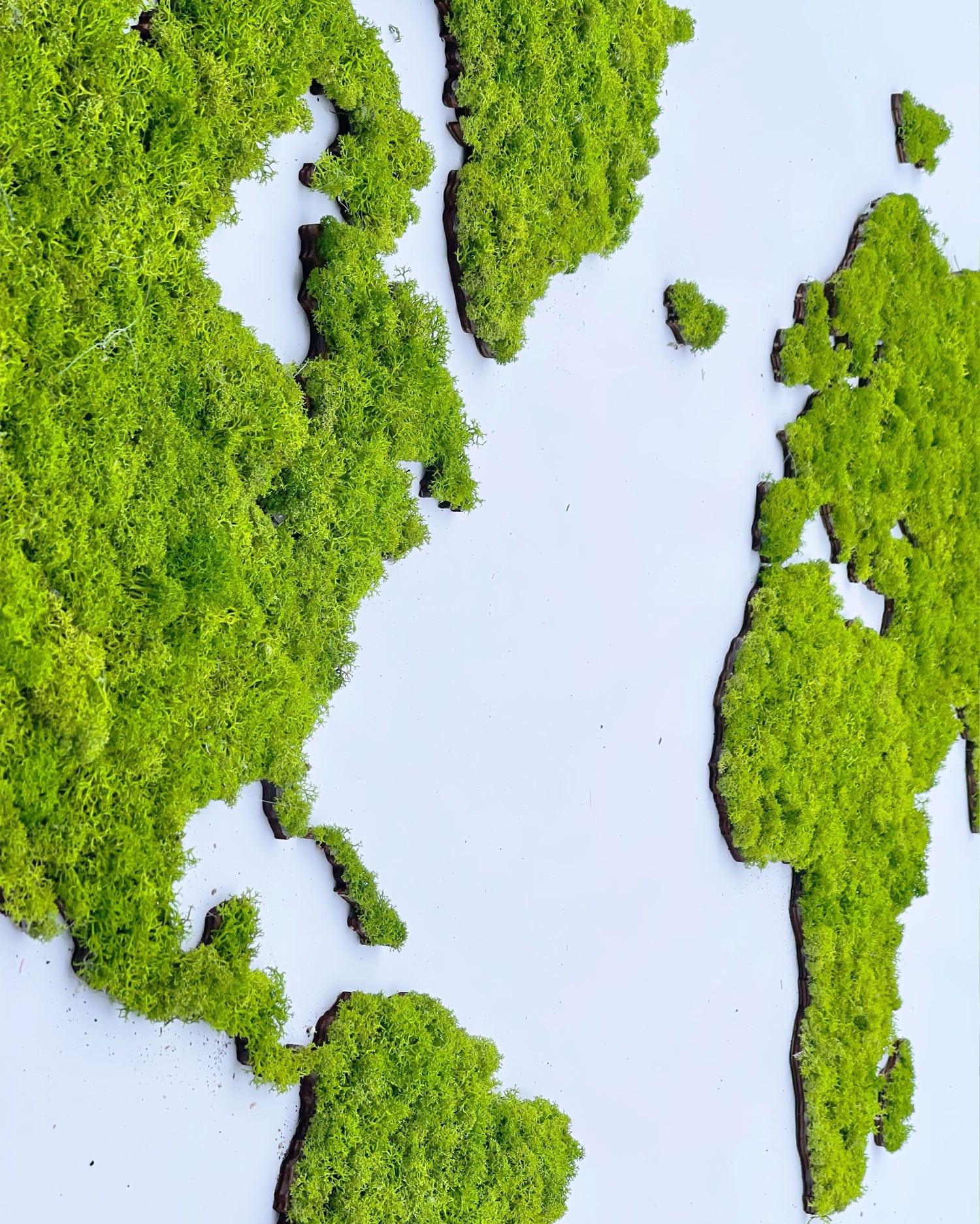 World map of moss cladonia, green map - PRHOMZ