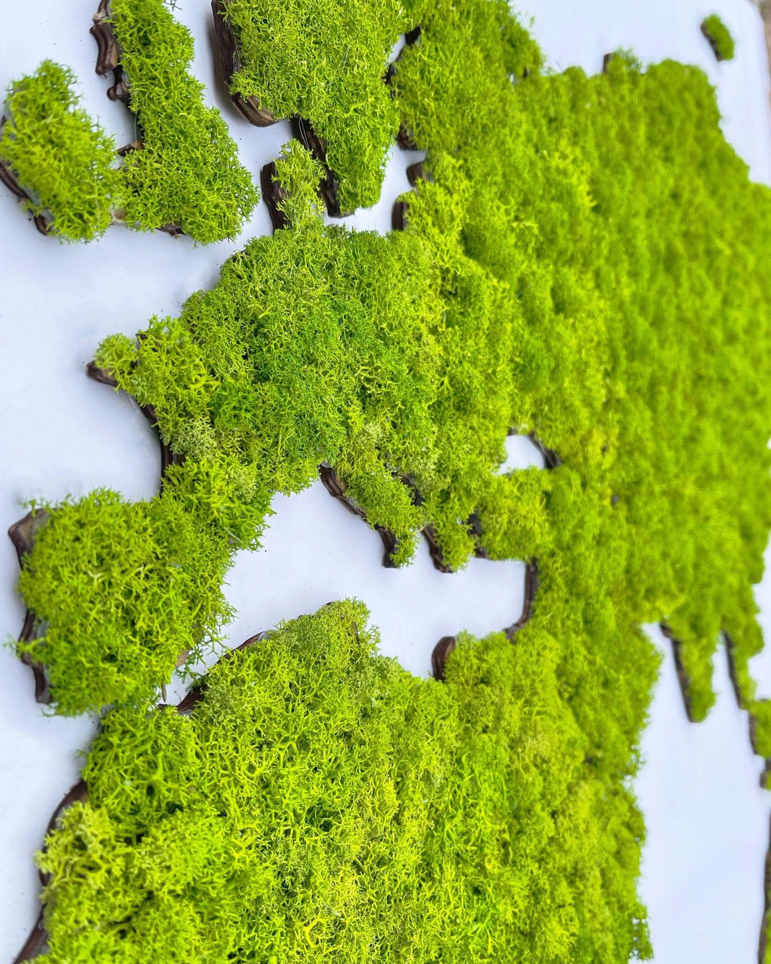 World map of moss cladonia, green map - PRHOMZ