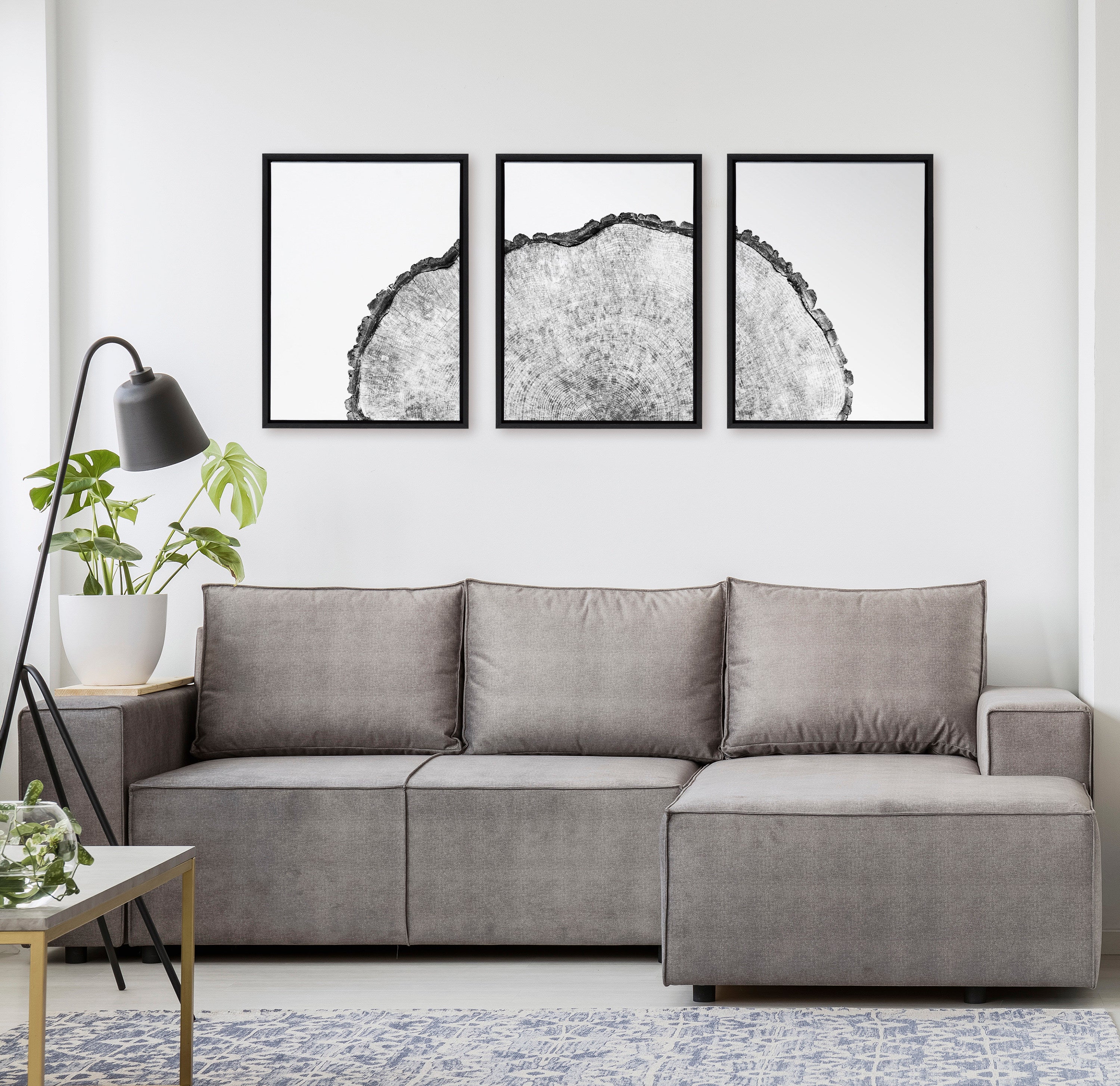 Sylvie Tree Rings Set Framed Canvas by Emiko and Mark Franzen of F2Images