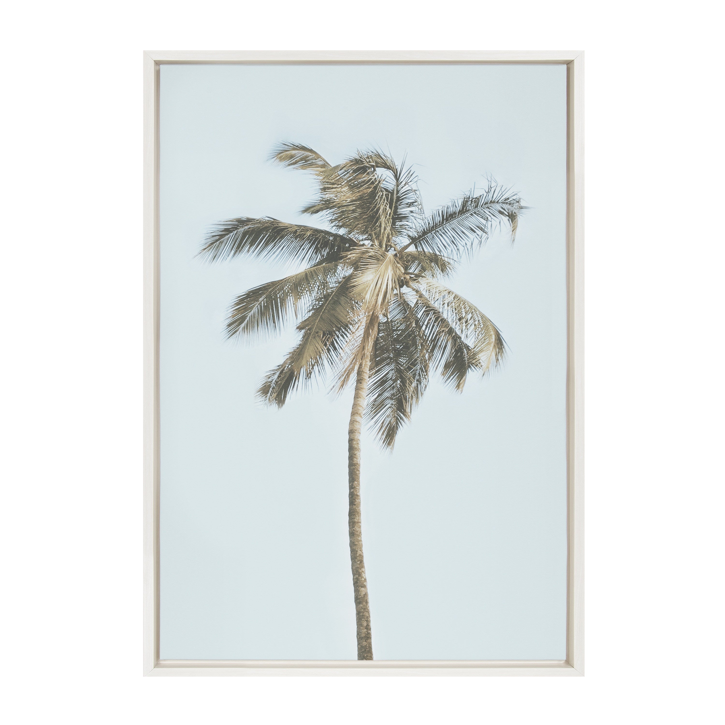 Sylvie One Coconut Palm Tree Framed Canvas by The Creative Bunch Studio