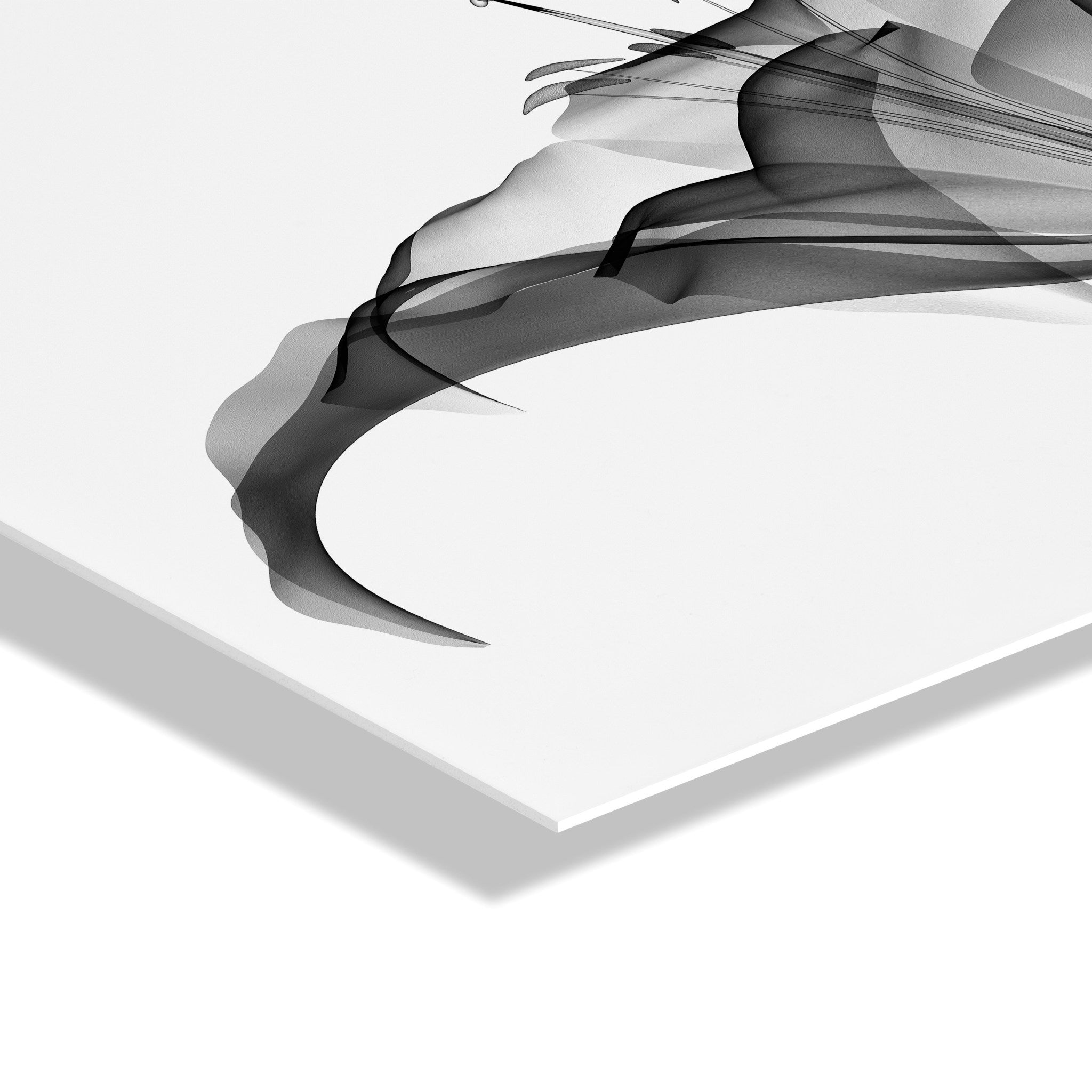 Lily X Ray Floral Floating Acrylic Art by The Creative Bunch Studio