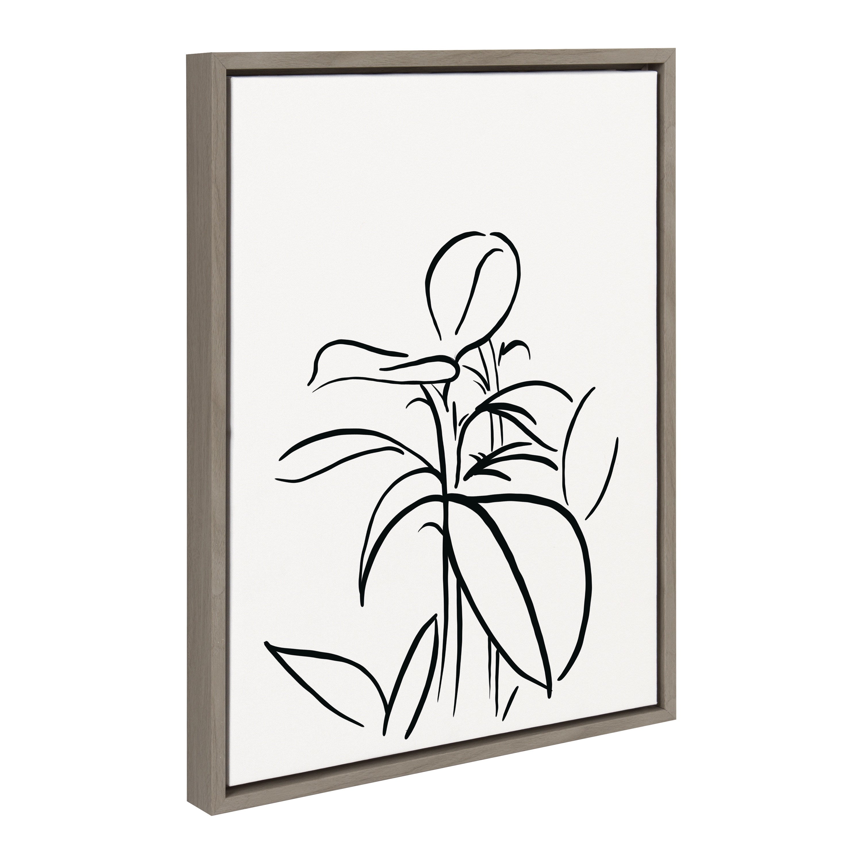 Sylvie Botanical Sketch Print No 1 Framed Canvas by The Creative Bunch Studio