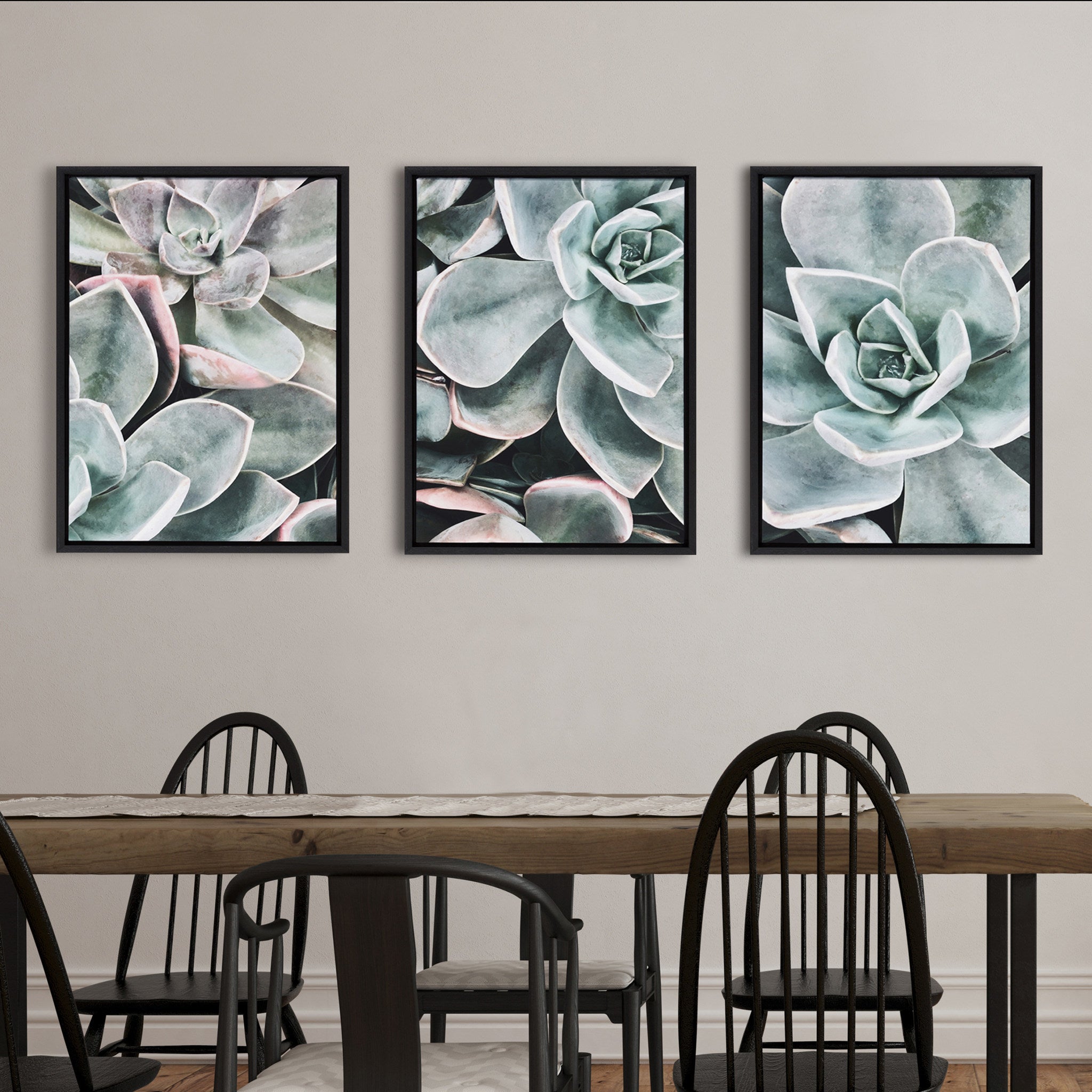 Sylvie Botanical Succulent Plants Framed Canvas Set by The Creative Bunch Studio