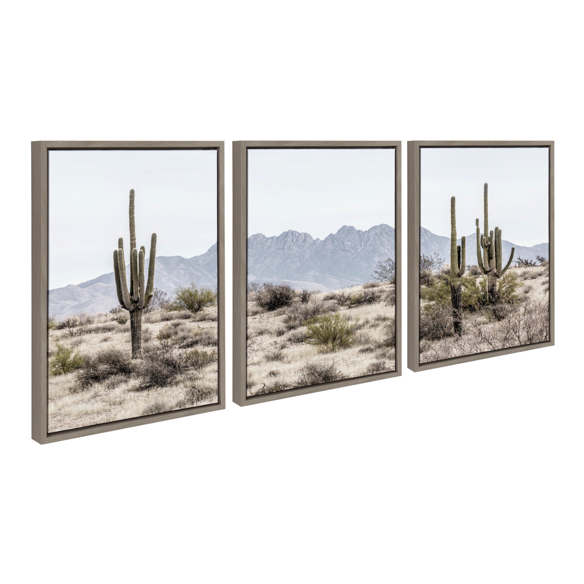Sylvie Tall Saguaro Cacti Desert Mountain Left, Middle and Right Framed Canvas by The Creative Bunch Studio