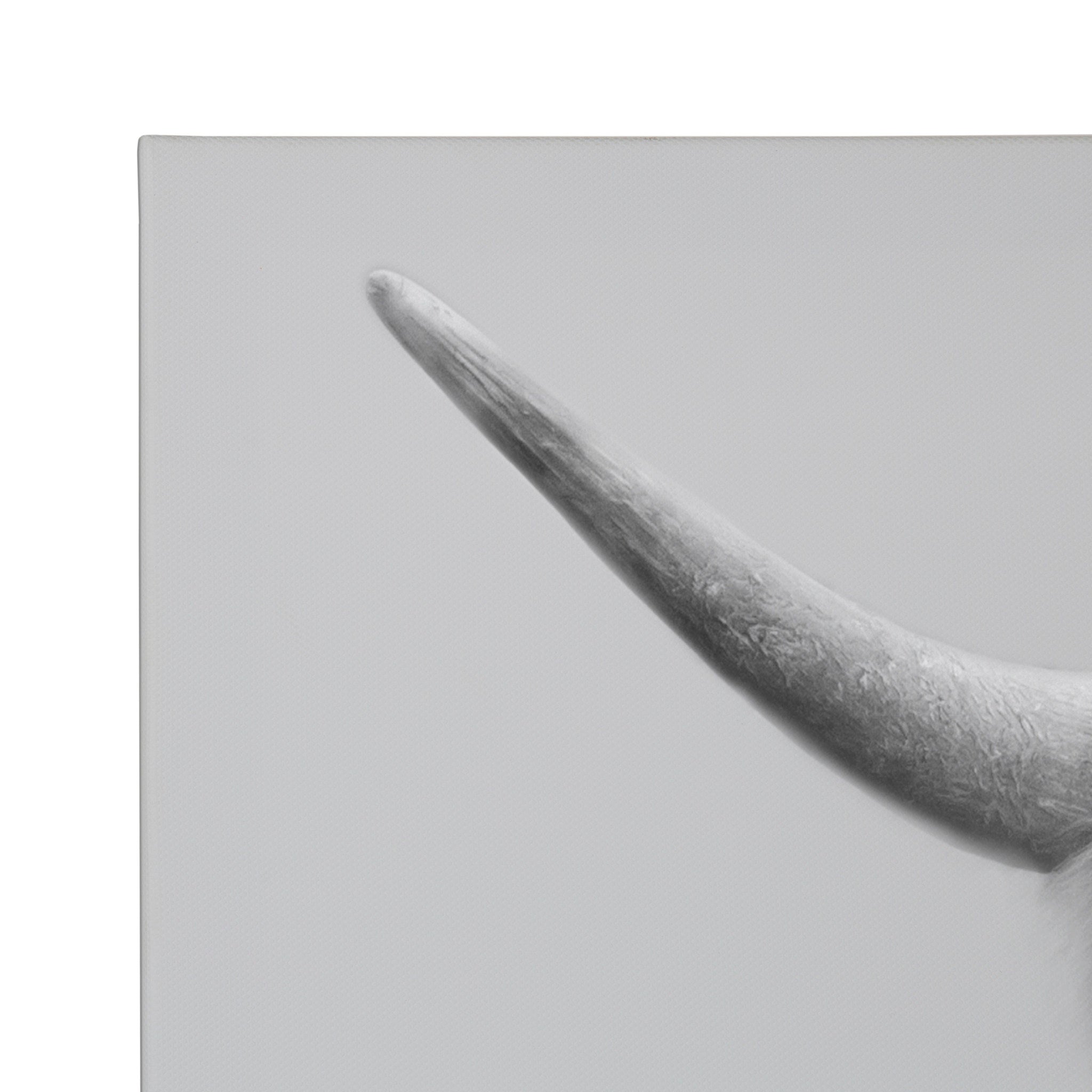 Hey Dude Highland Cow Gray Canvas by The Creative Bunch Studio