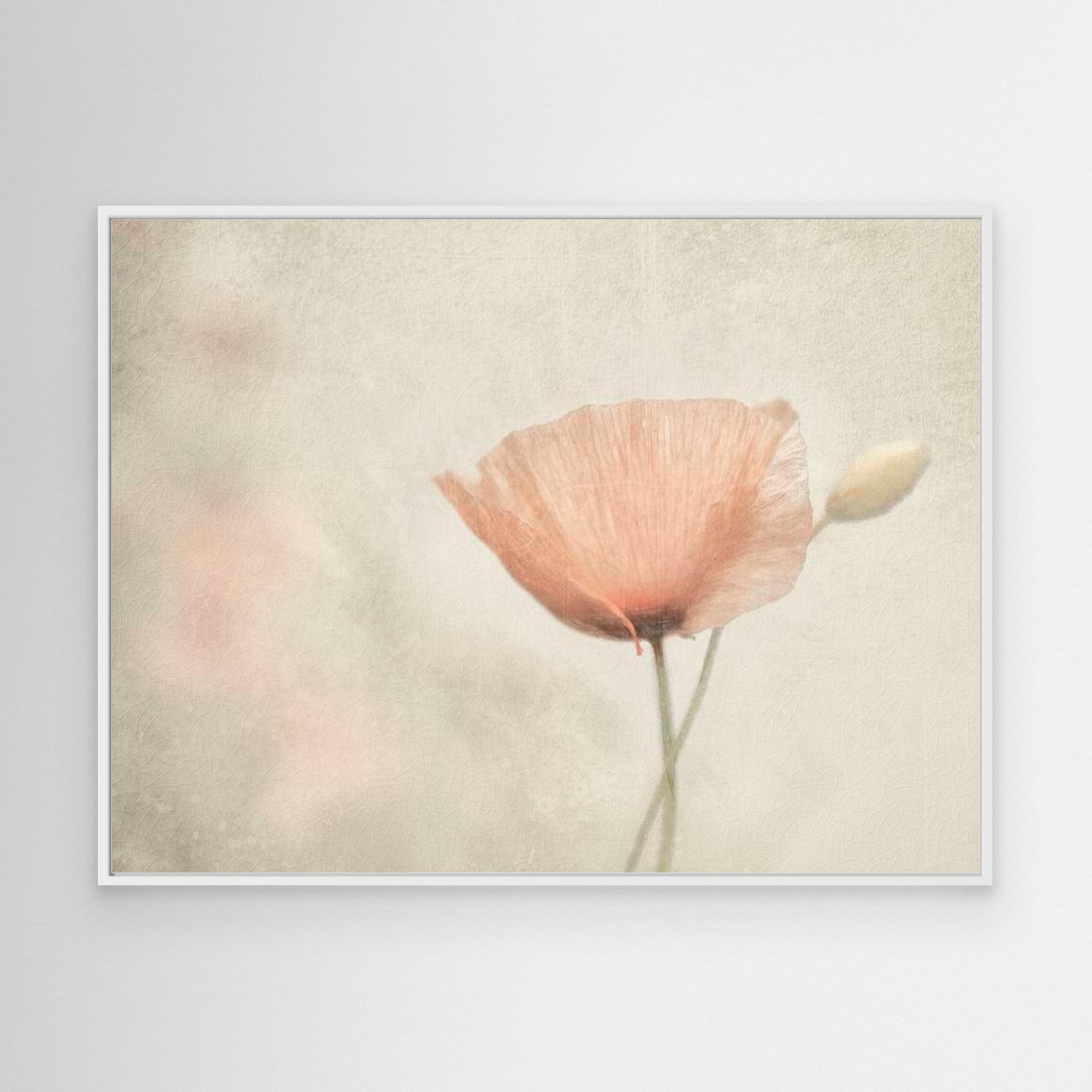 jewel of nature by Gilbert Claes