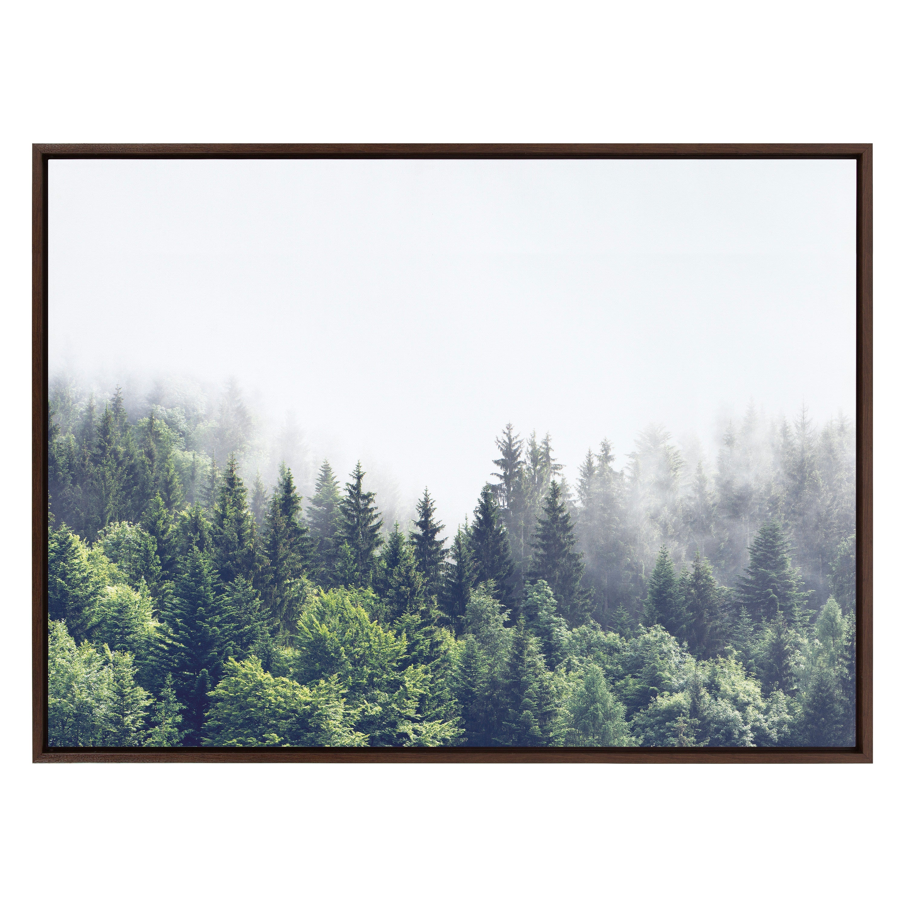 Sylvie Lush Green Forest On A Foggy Day Framed Canvas by The Creative Bunch Studio