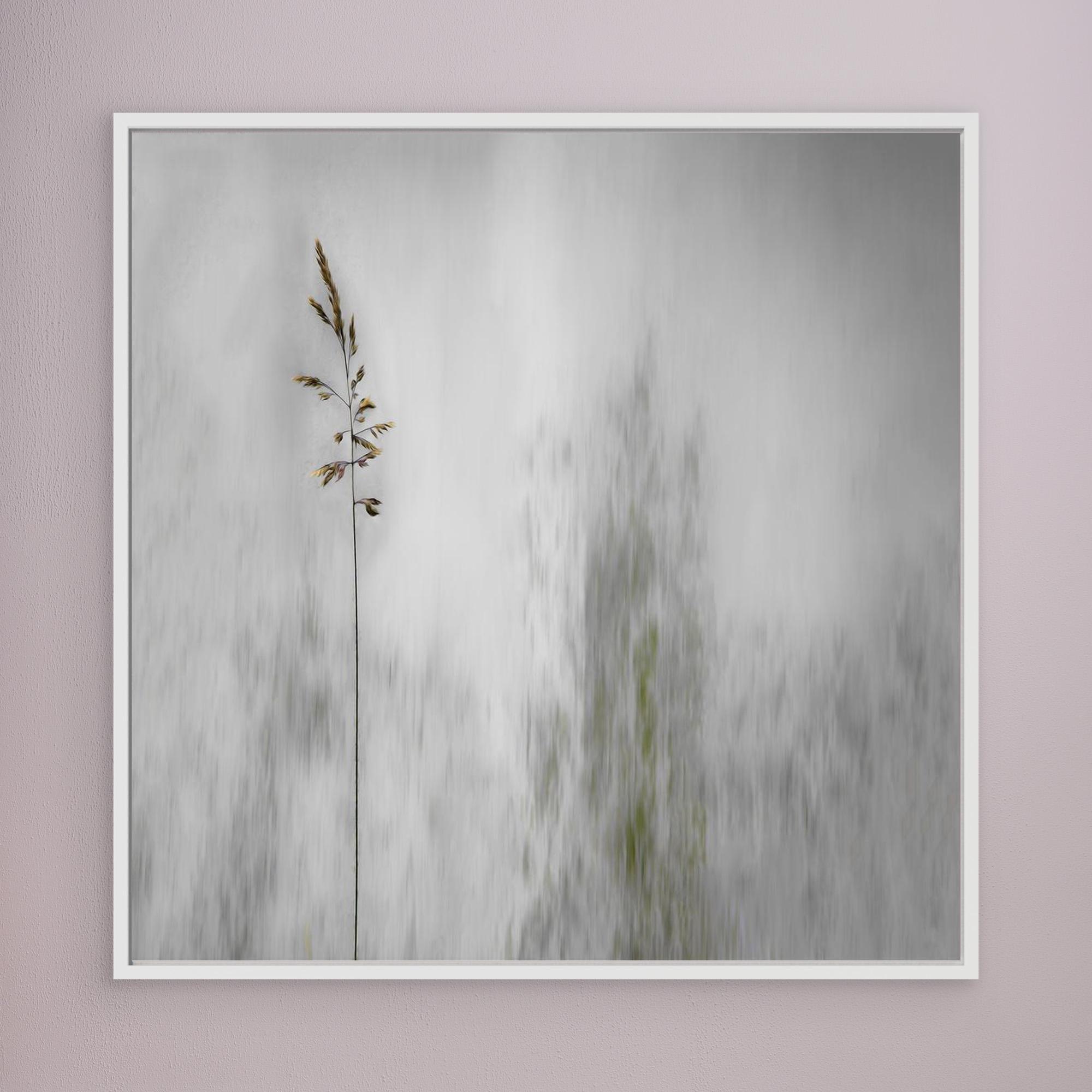 blade of grass by Gilbert Claes