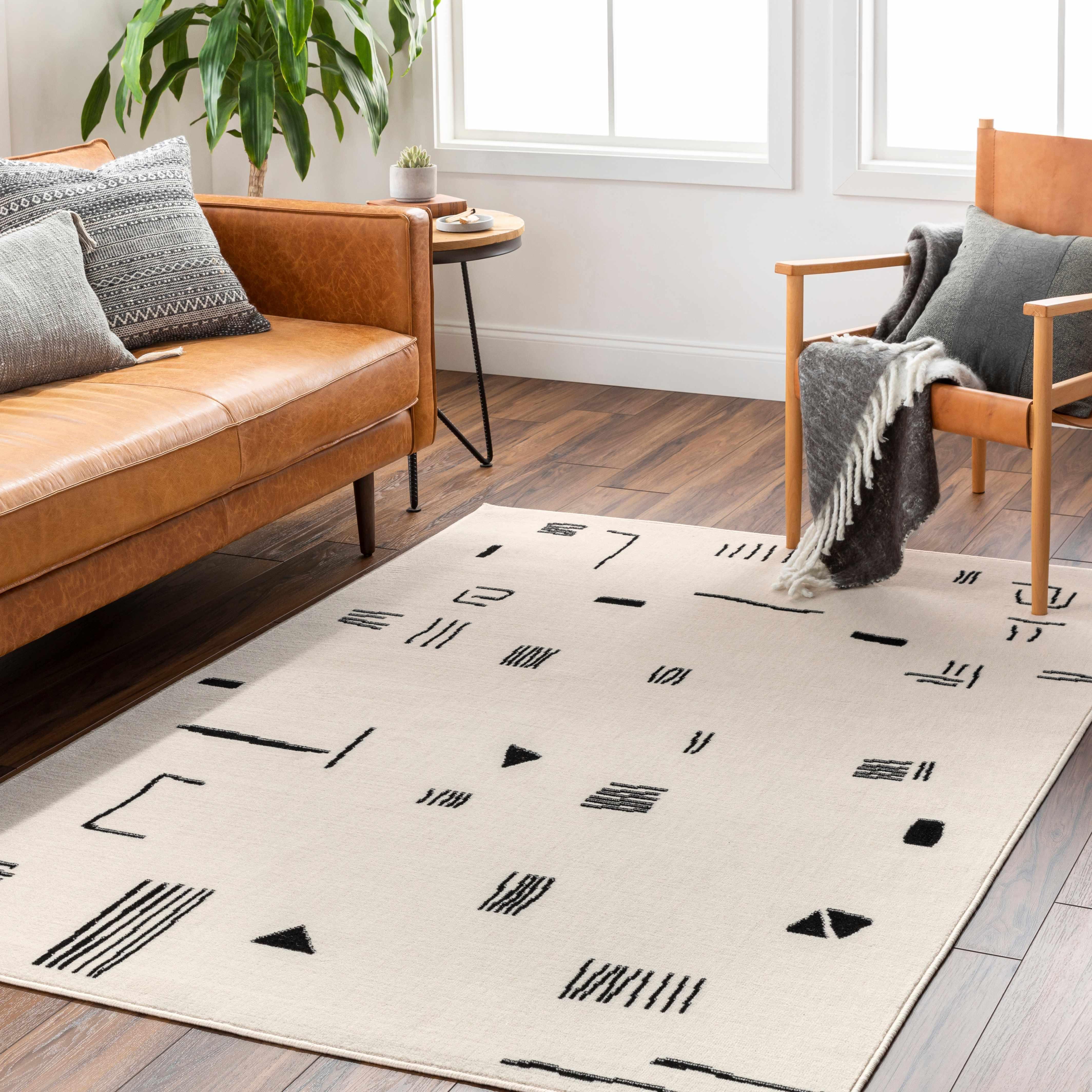 Zale Area Rug - Clearance - PRHOMZ