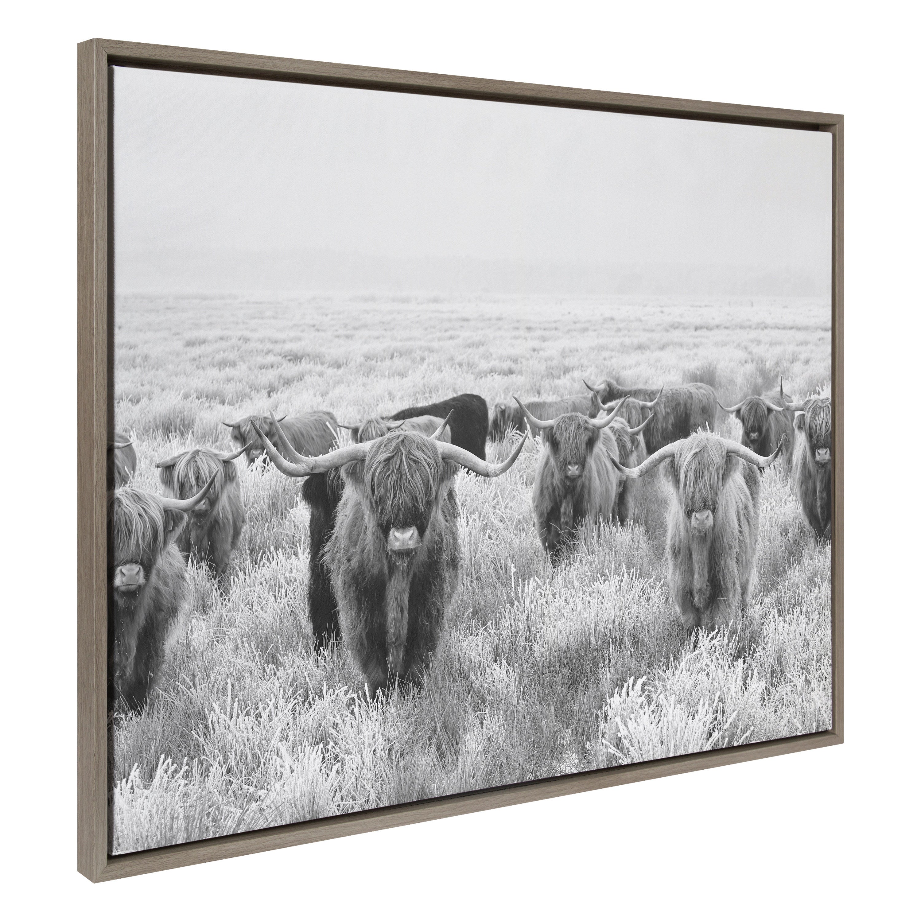 Sylvie Herd of Highland Cows Black and White Framed Canvas by The Creative Bunch Studio