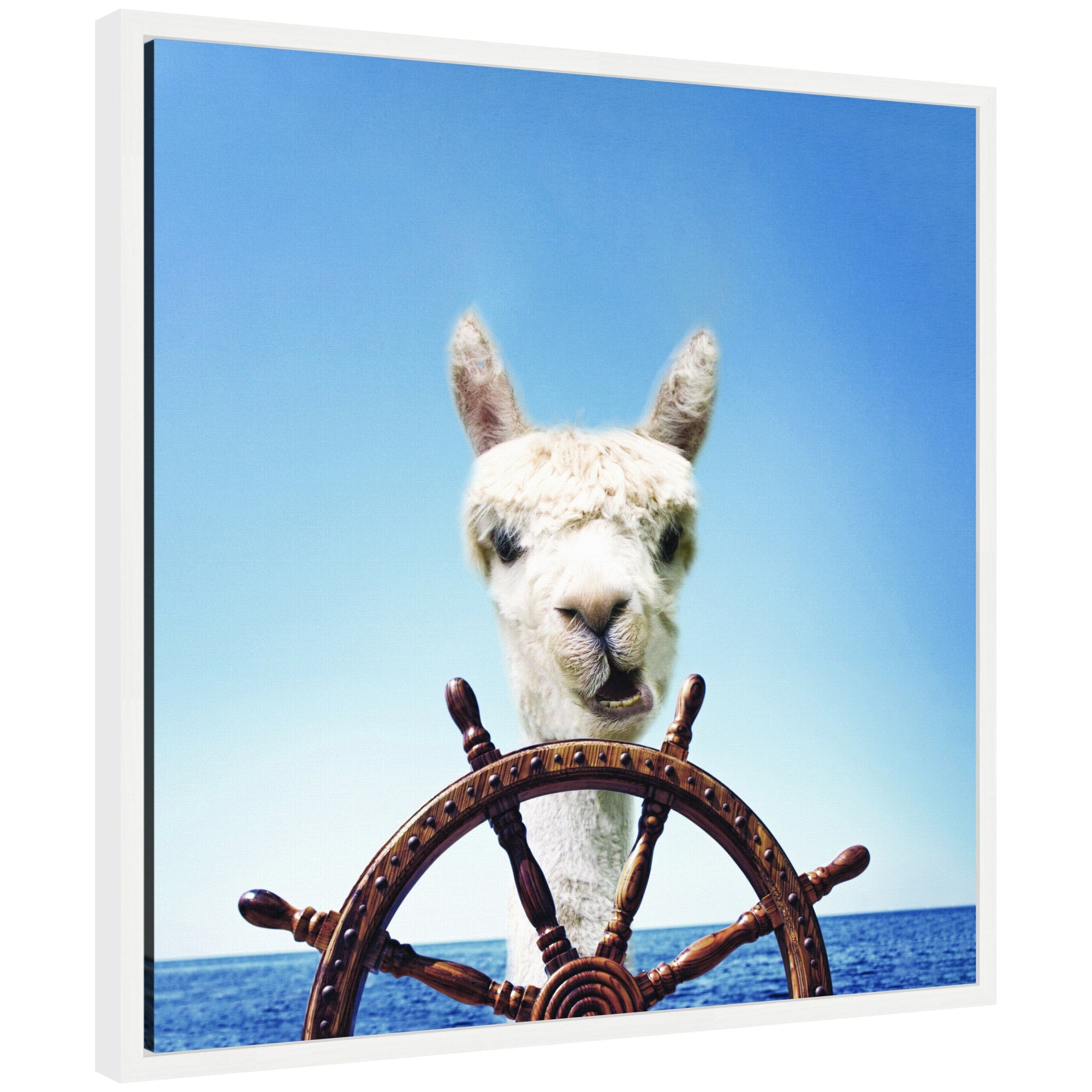 Sylvie Boat Animal Alpaca Framed Canvas by The Creative Bunch Studio