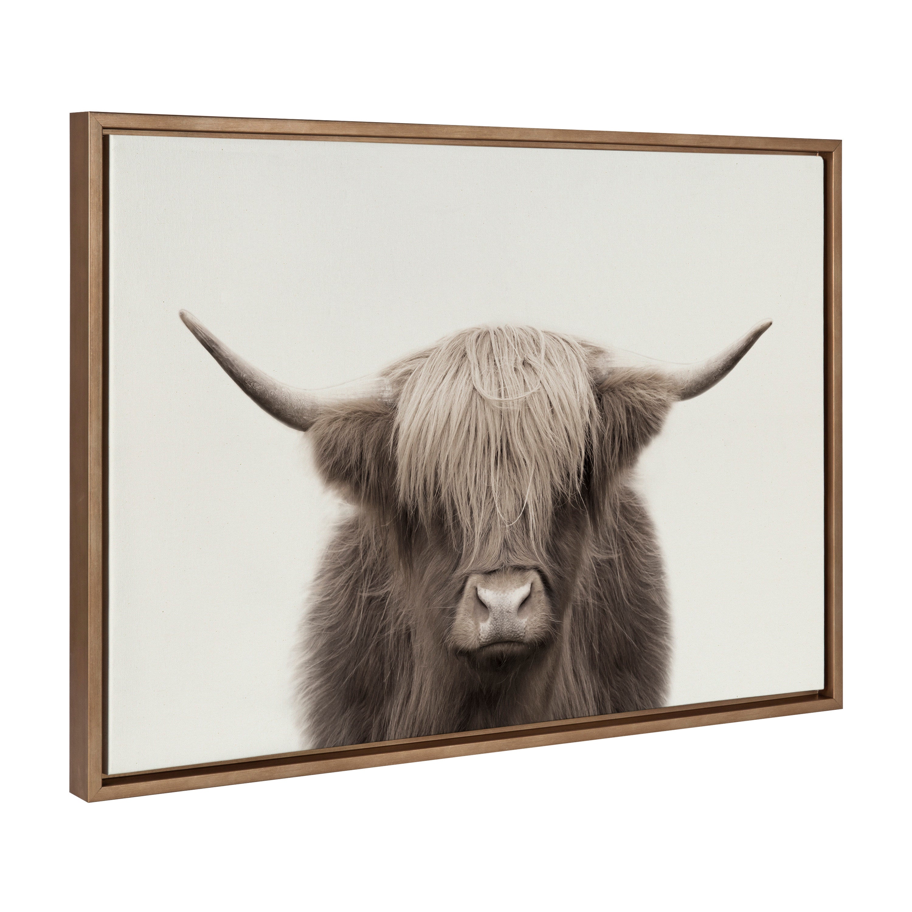 Sylvie Hey Dude Highland Cow Color Framed Canvas by The Creative Bunch Studio