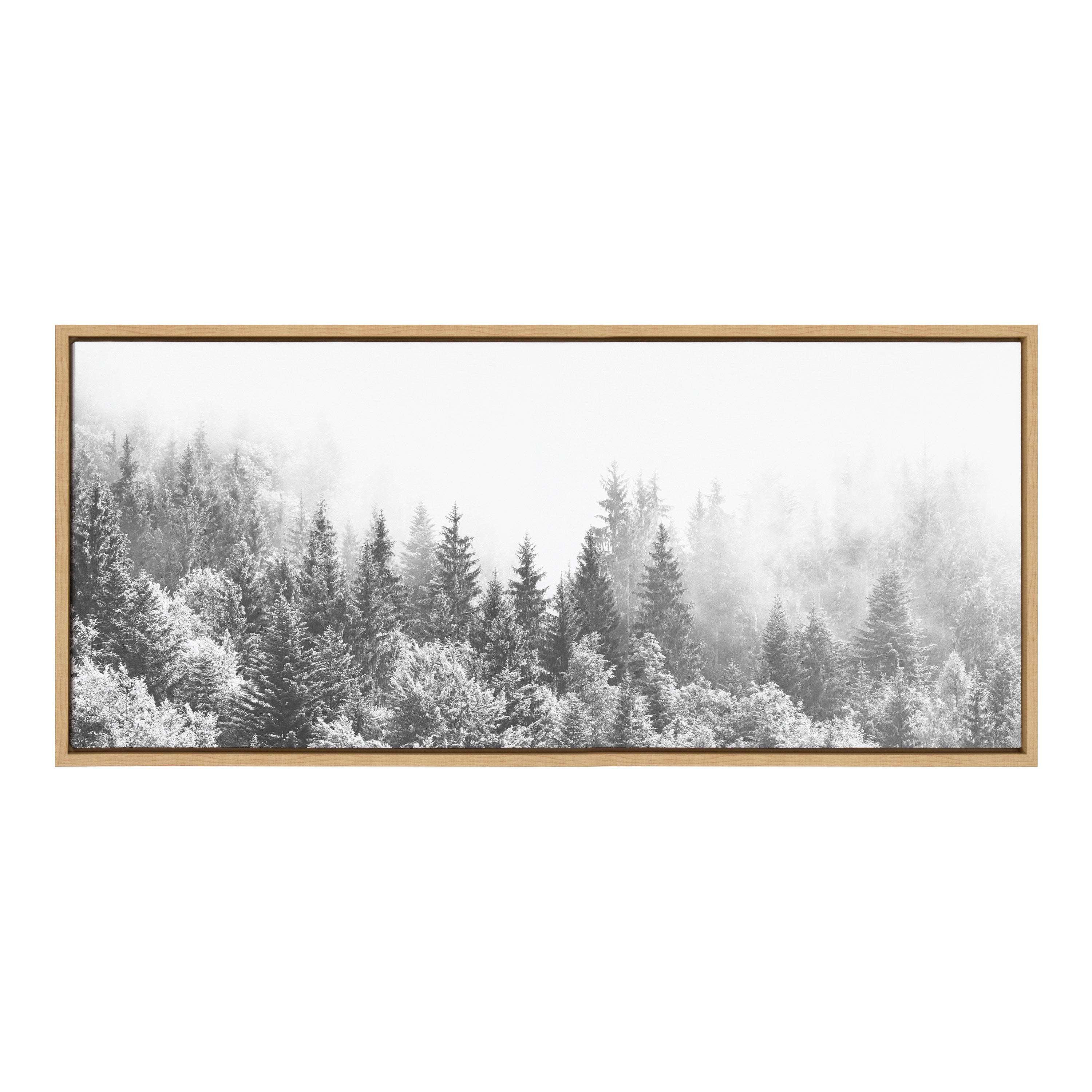 Sylvie Forest On A Foggy Day BW Framed Canvas by The Creative Bunch Studio