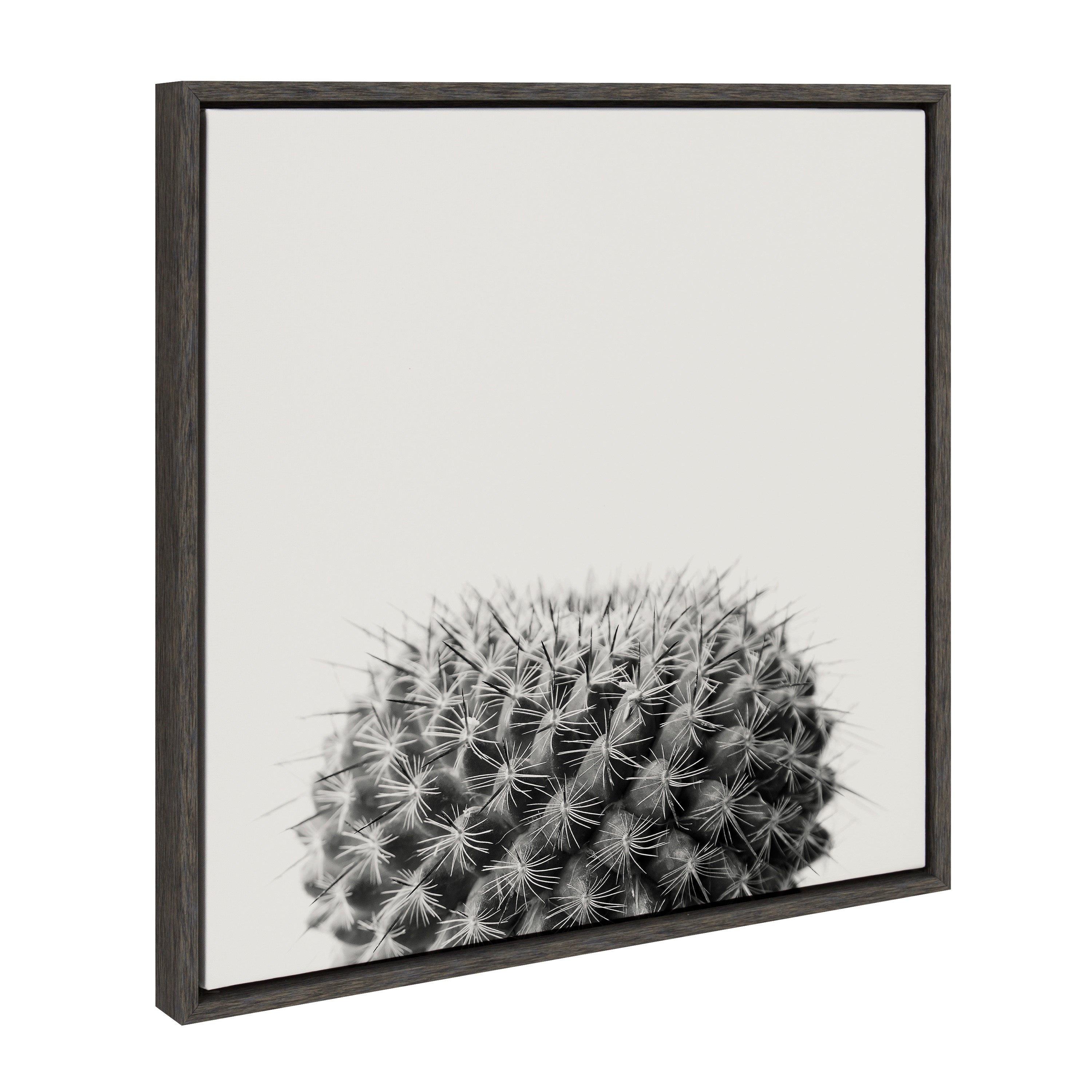 Sylvie Haze Succulent Cactus Short Framed Canvas by The Creative Bunch Studio