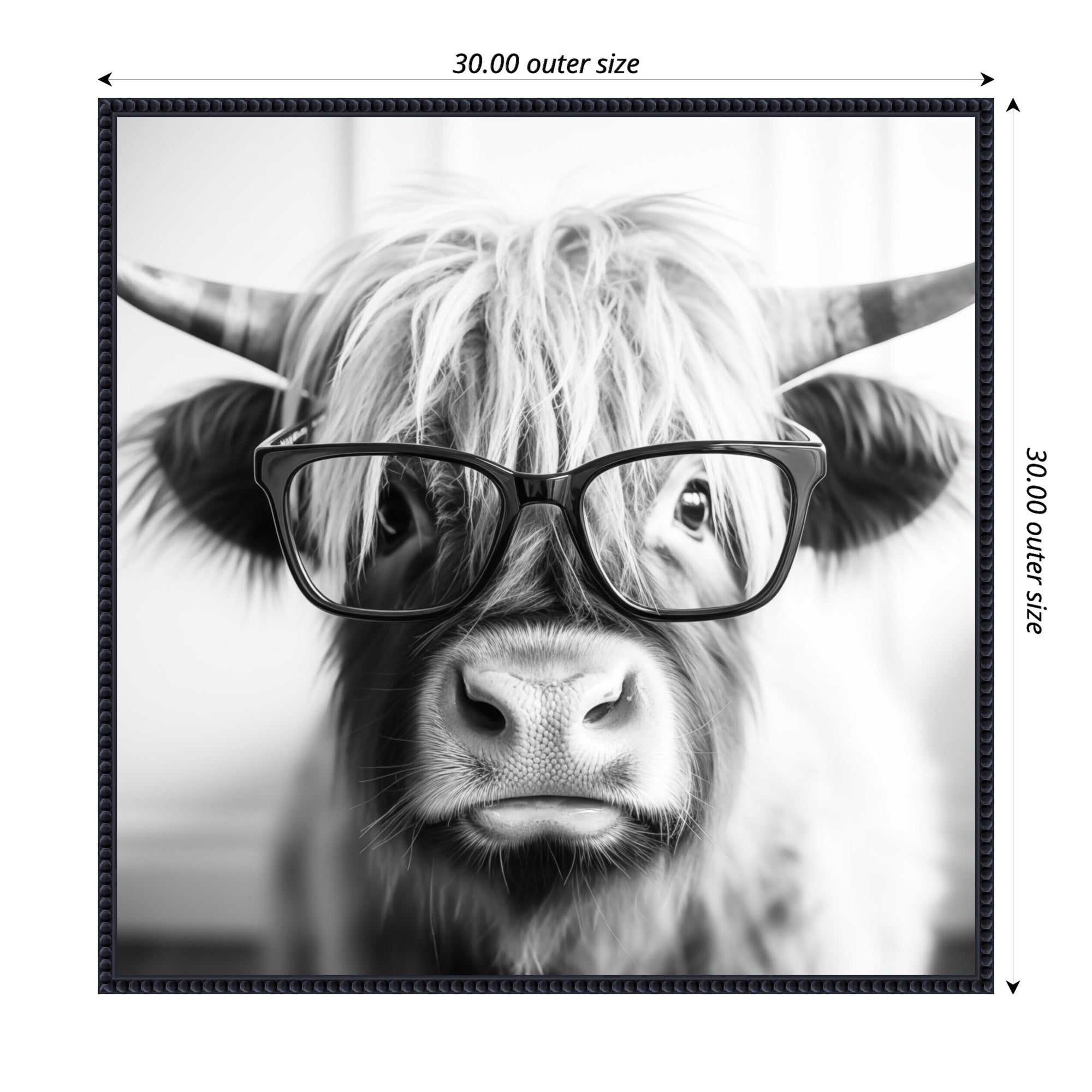 Sylvie Black and White Highland Cow in Reading Glasses Framed Canvas by The Creative Bunch Studio
