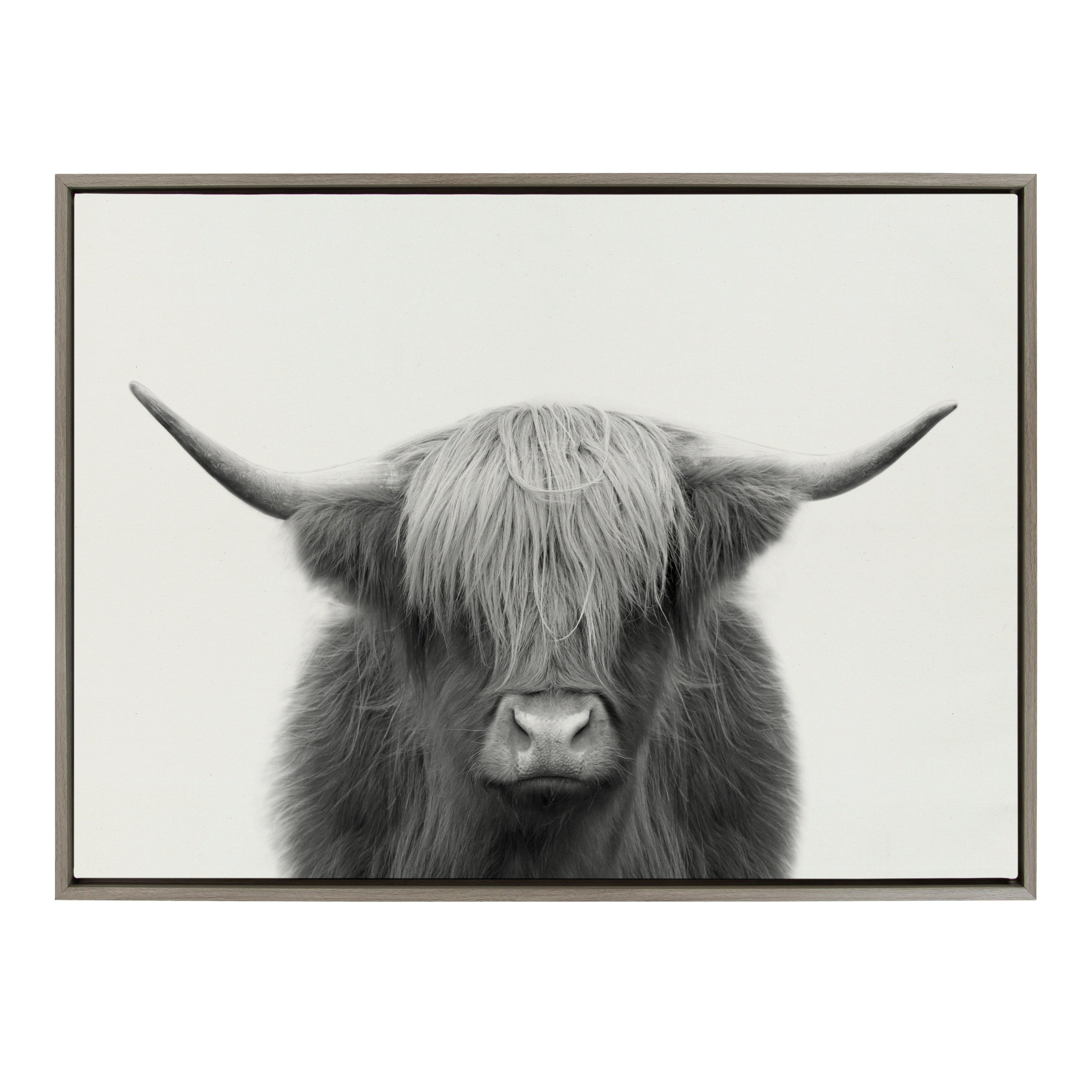 Sylvie Hey Dude Highland Cow Framed Linen Canvas by The Creative Bunch Studio