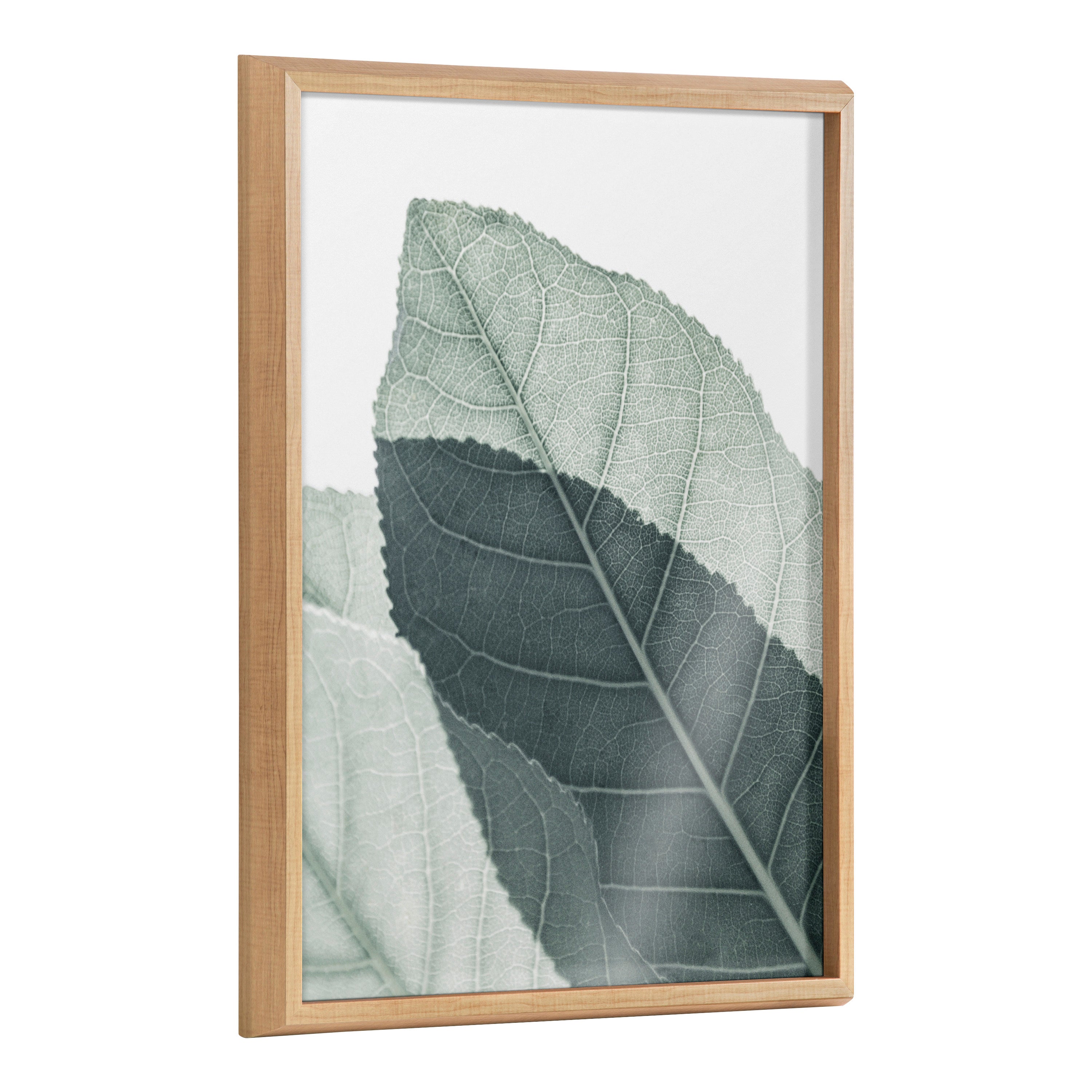 Blake Modern Green Leaf Botanical II Framed Printed Glass by The Creative Bunch Studio