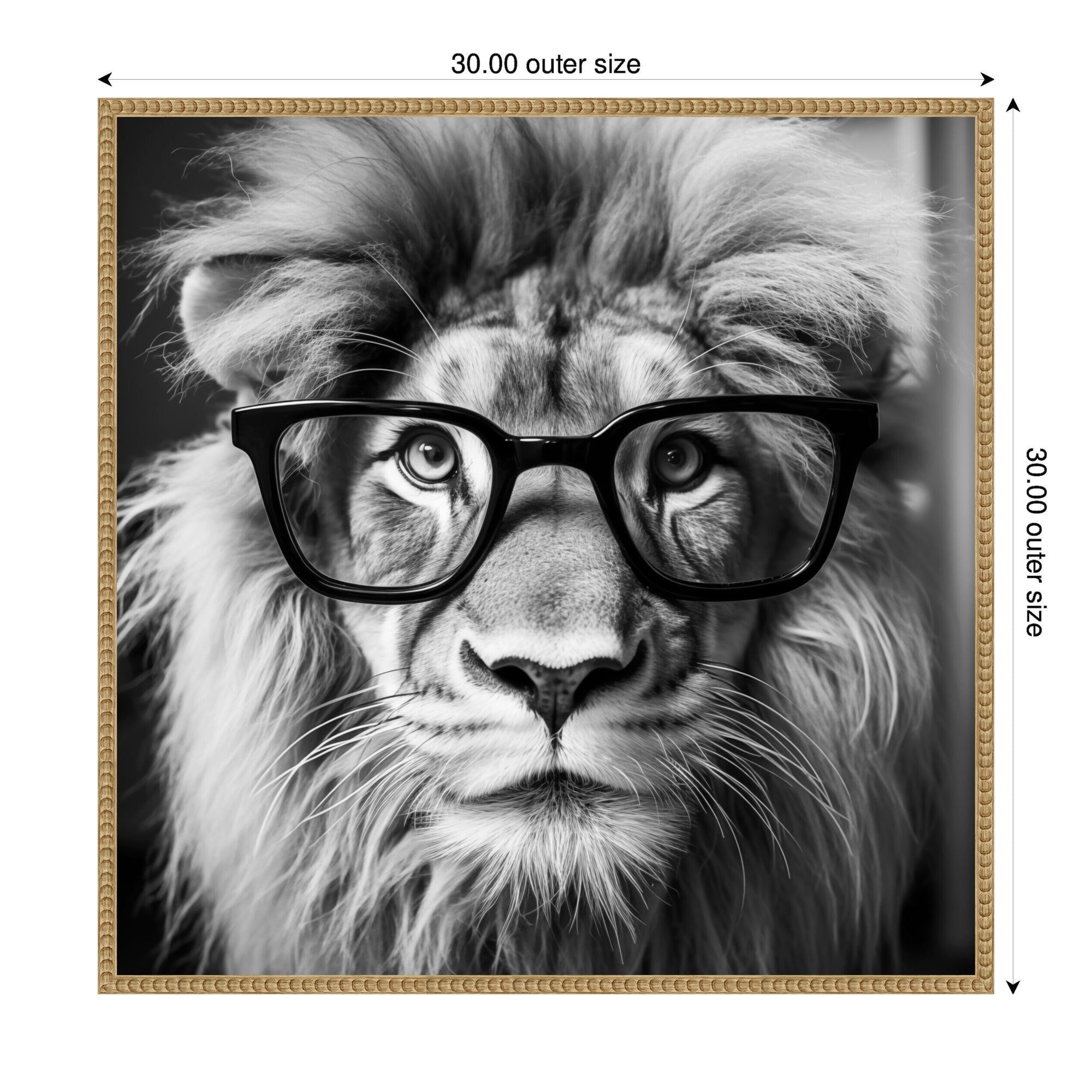 Sylvie Black and White Lion in Reading Glasses Framed Canvas by The Creative Bunch Studio