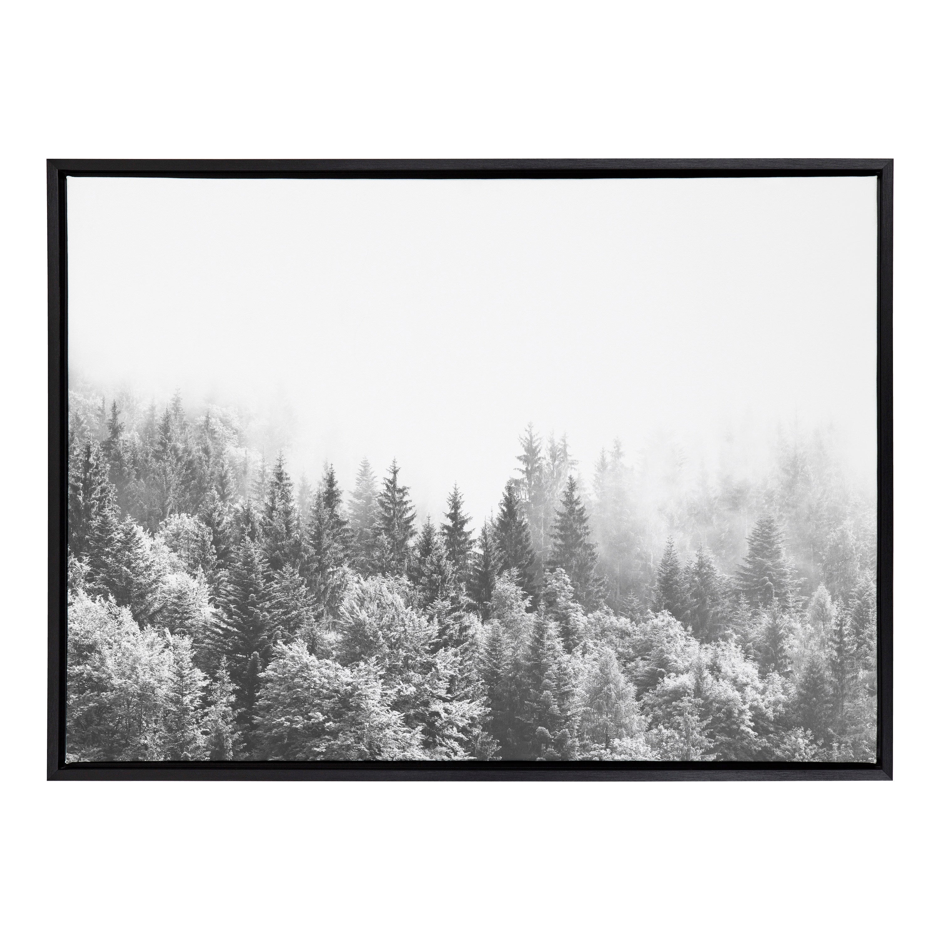 Sylvie Forest On A Foggy Day BW Framed Canvas by The Creative Bunch Studio
