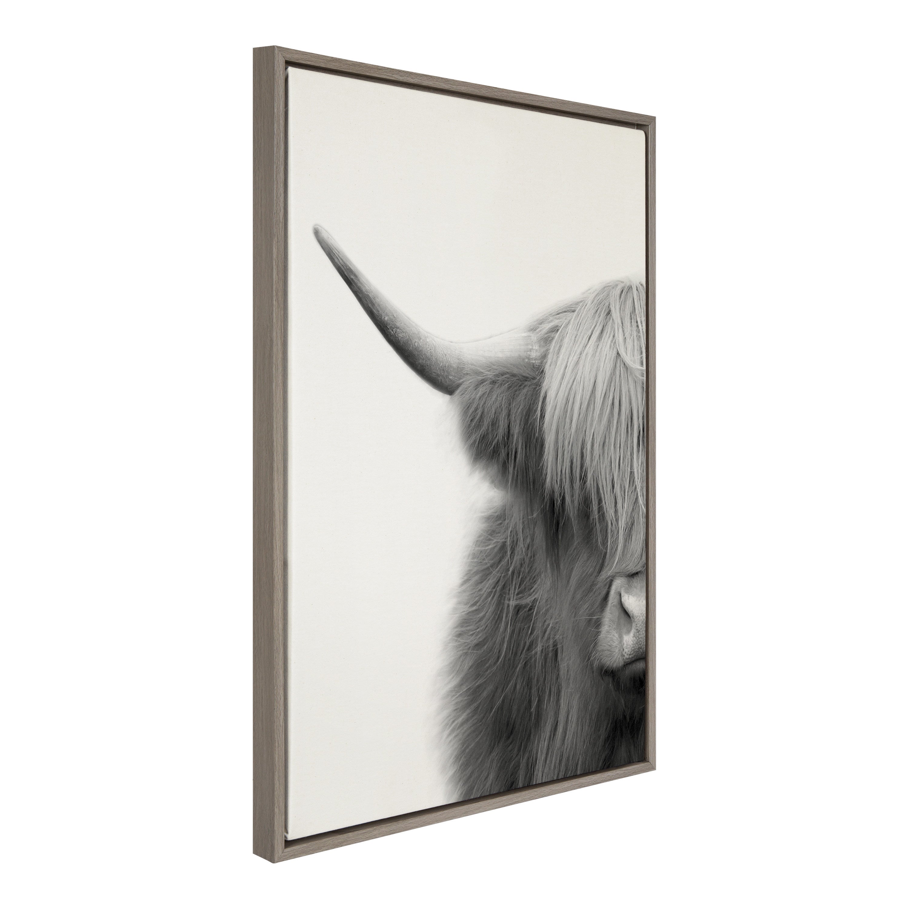 Sylvie Hey Dude Highland Cow Crop Framed Canvas by The Creative Bunch Studio
