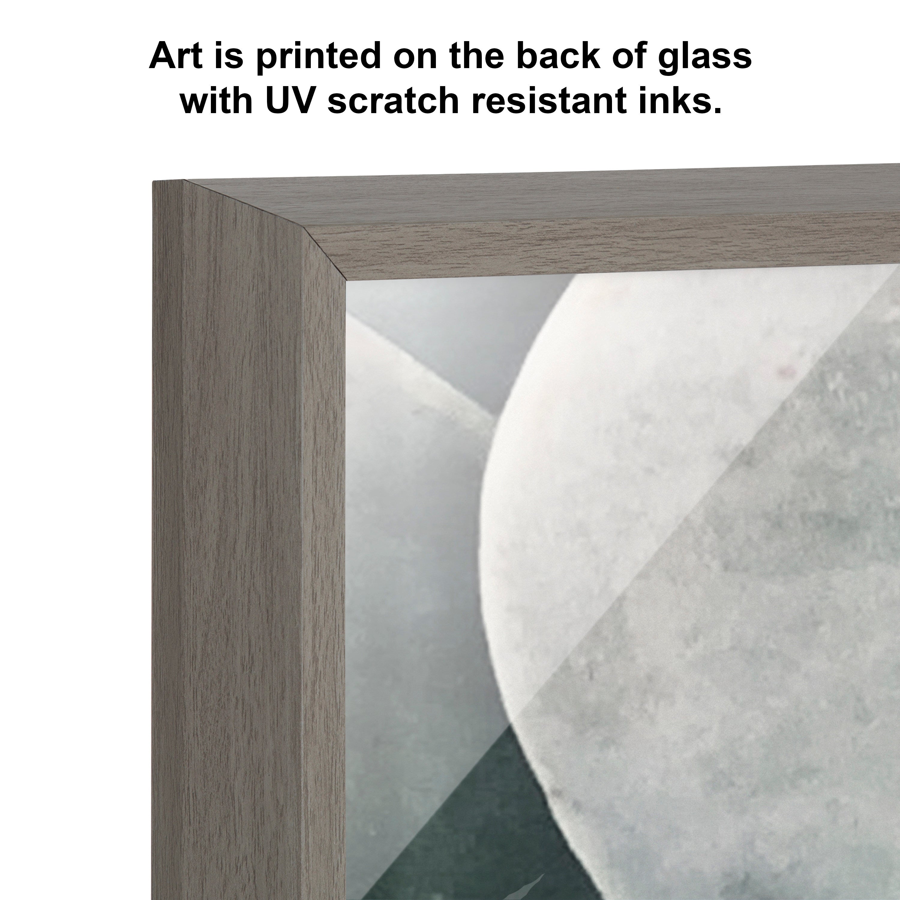 Blake Botanical Succulent Plants 3 Framed Printed Glass by The Creative Bunch Studio