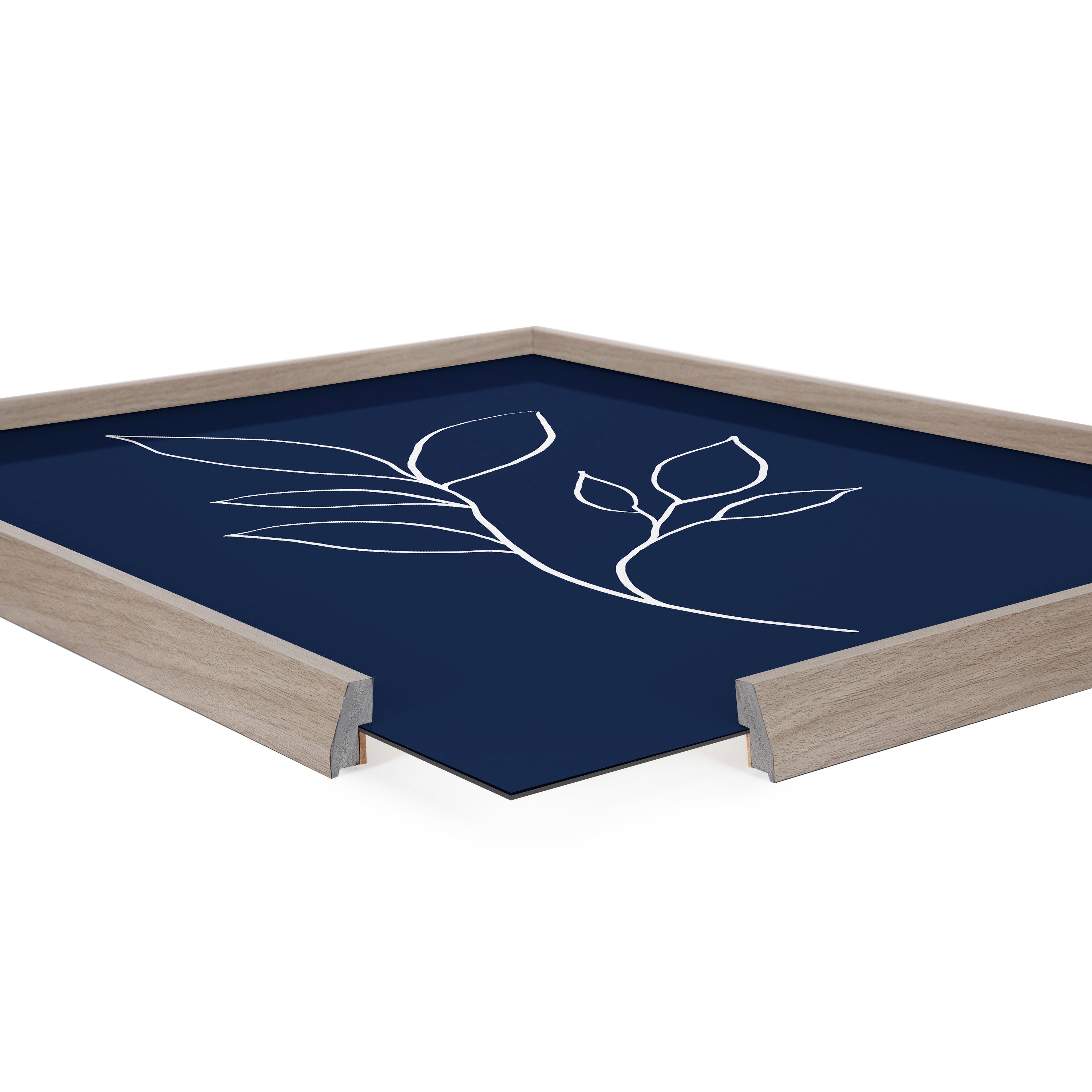 Blake Modern Blue Botanical Line Sketch Print 3 Framed Printed Glass by The Creative Bunch Studio