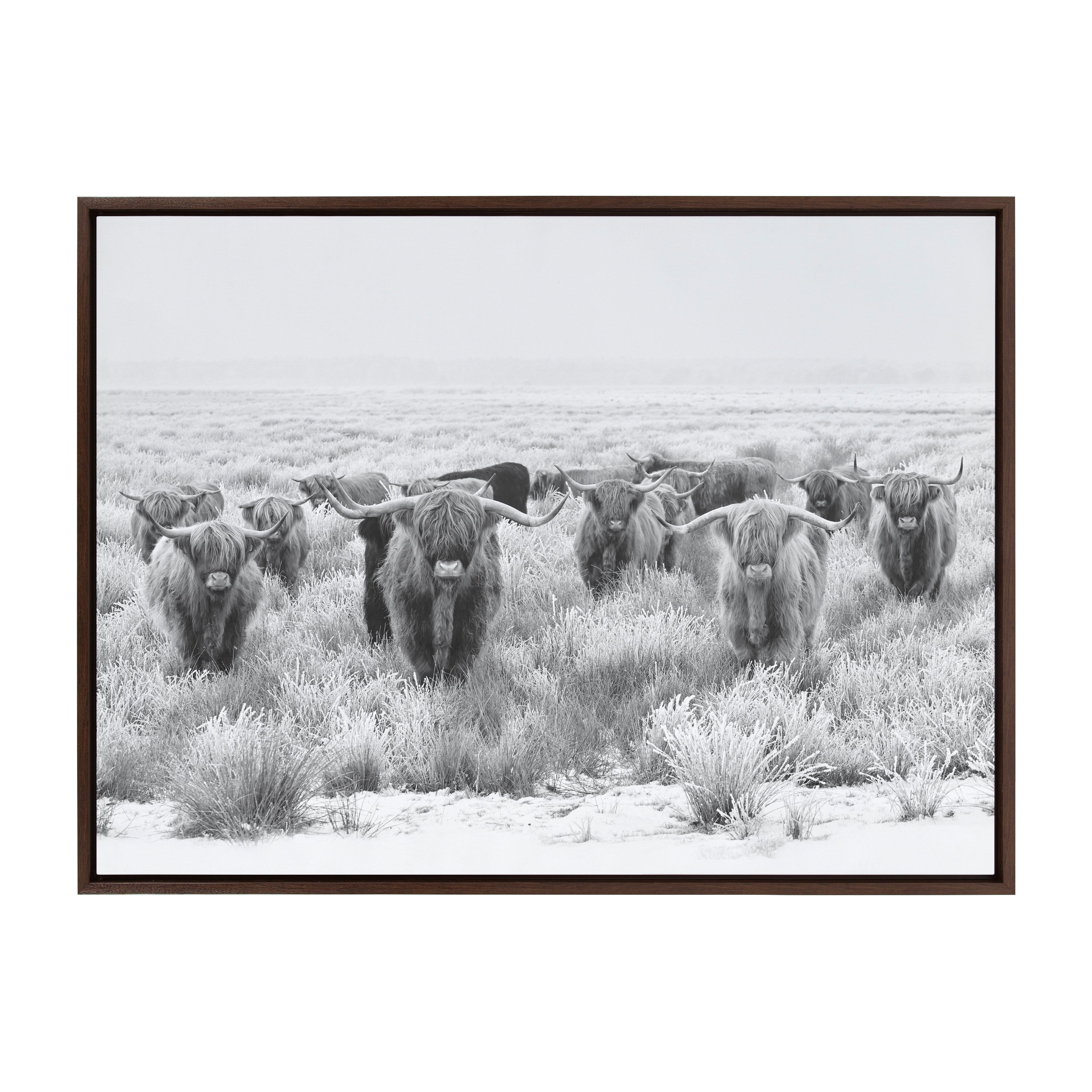 Sylvie Herd of Highland Cows Black and White Framed Canvas by The Creative Bunch Studio